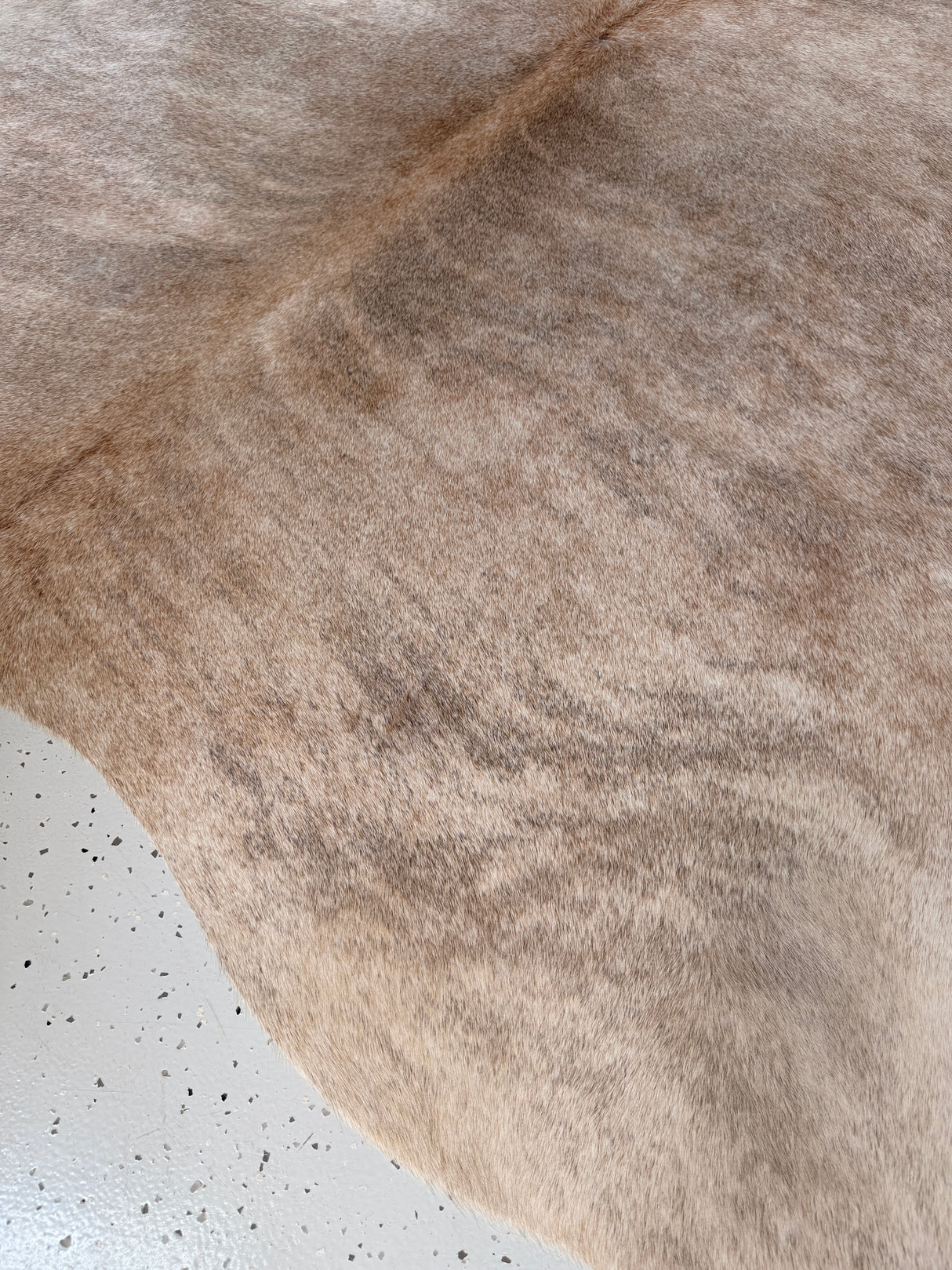 Genuine Cowhide Floor Rug 760