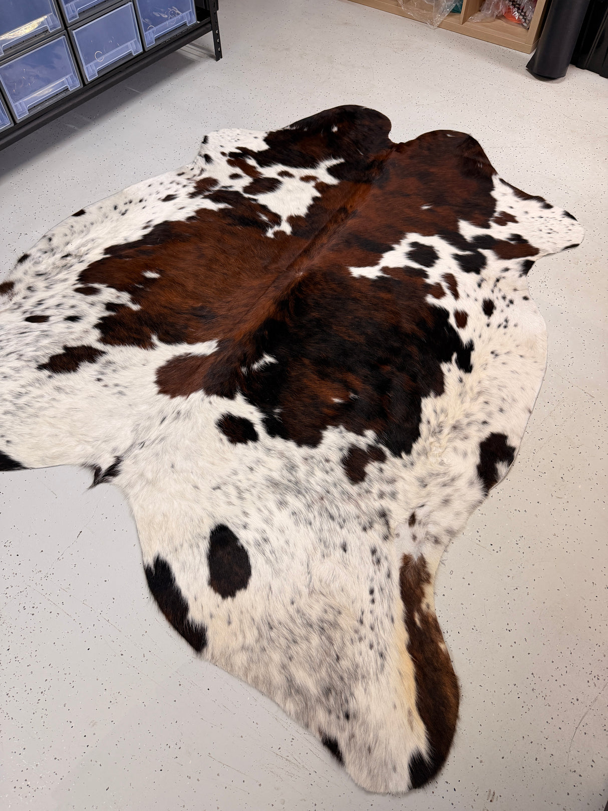 Genuine Cowhide Floor Rug 252