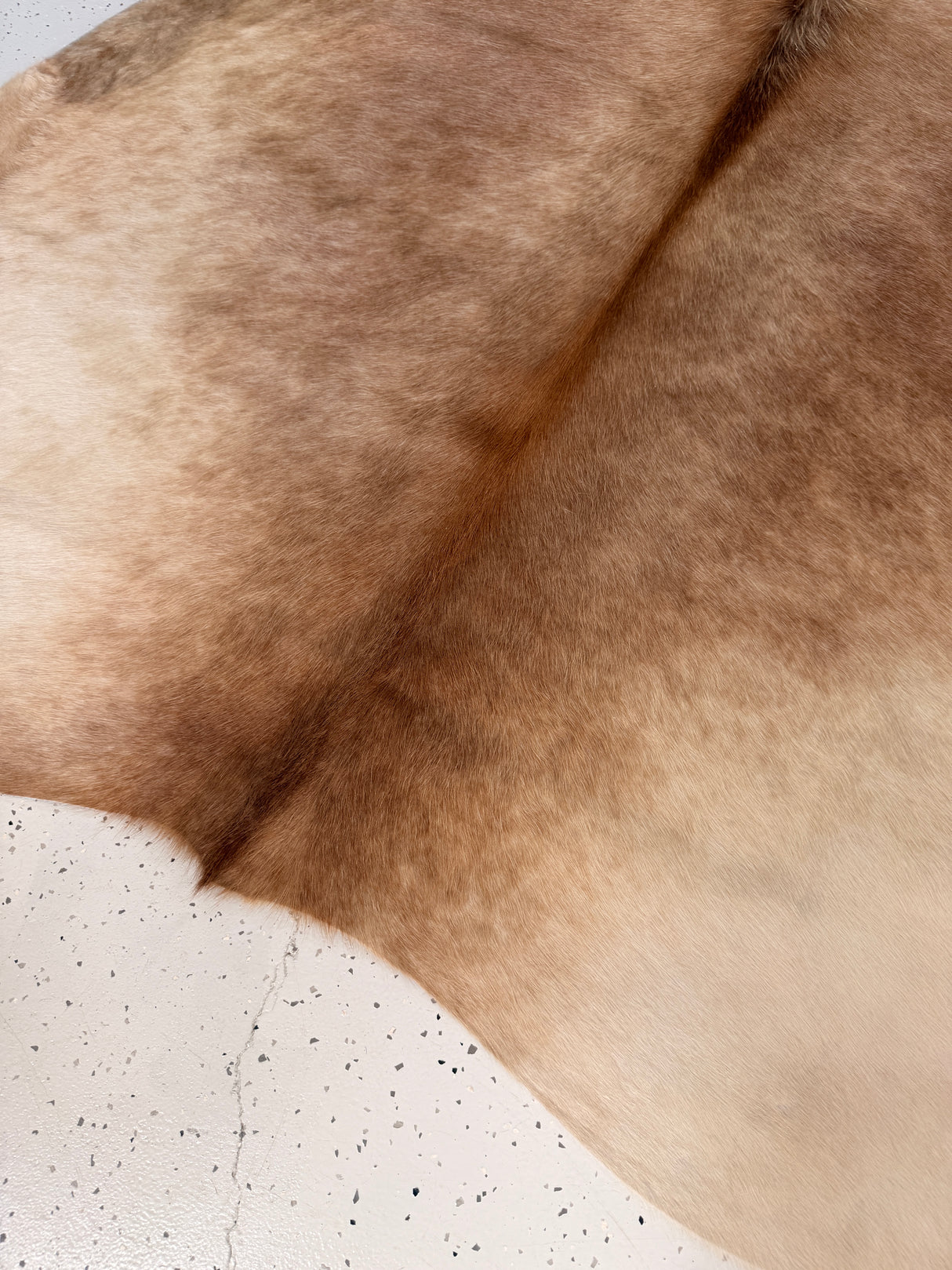 Genuine Cowhide Floor Rug 761
