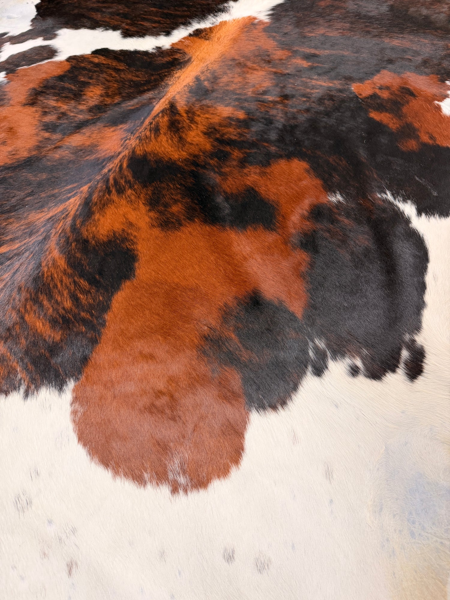 Genuine Cowhide Floor Rug 240