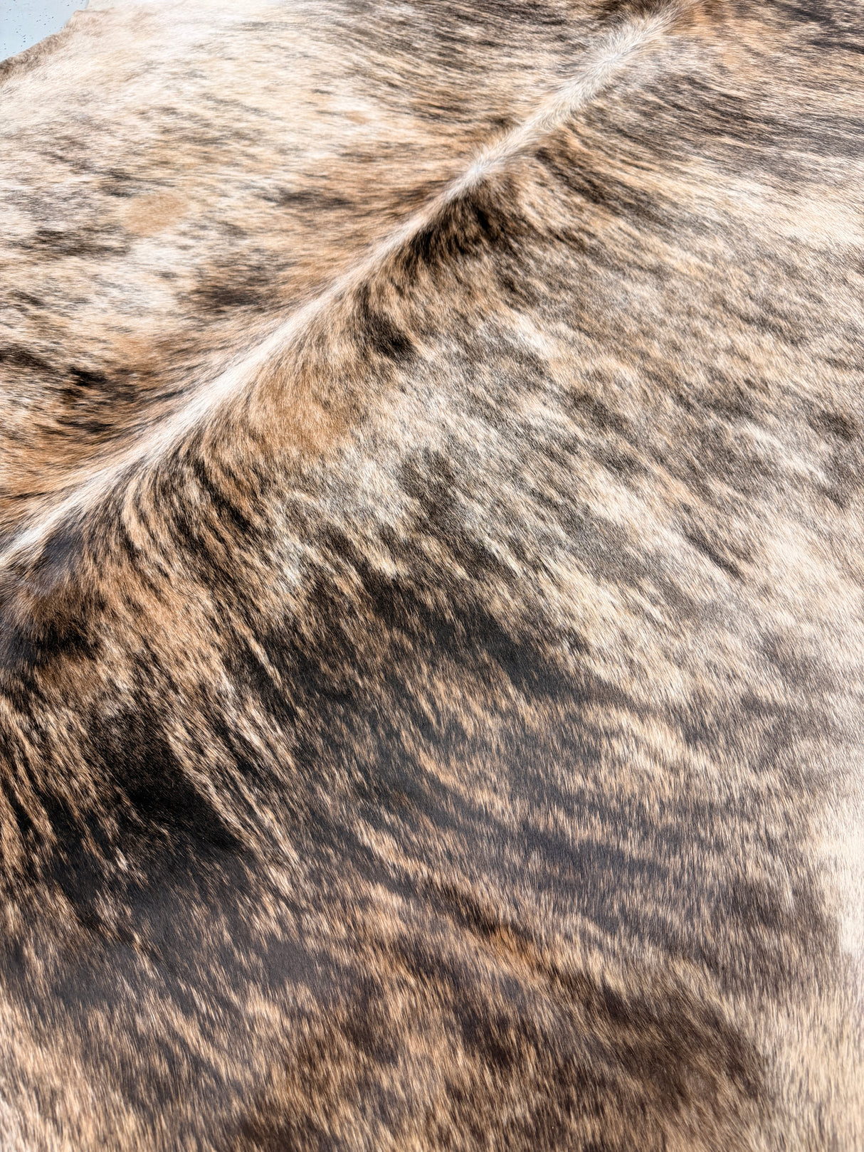 Genuine Cowhide Floor Rug 117