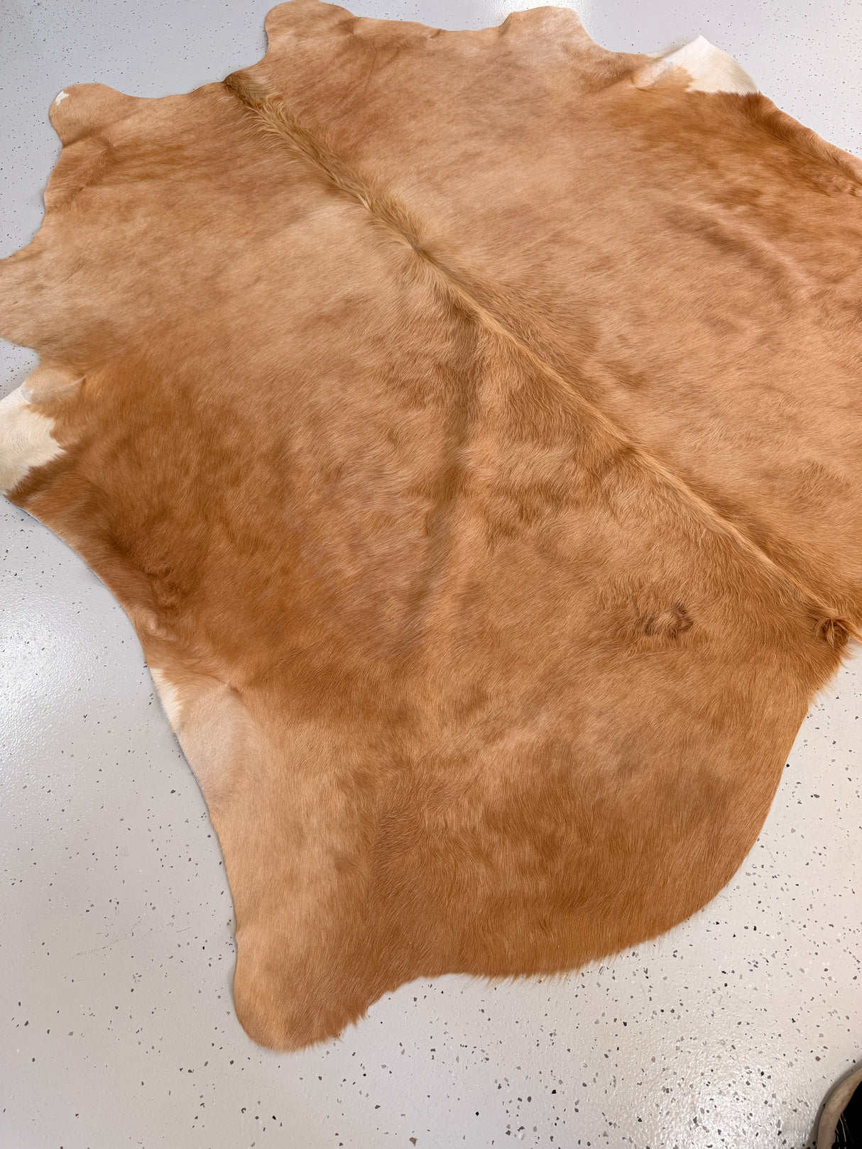 Genuine Cowhide Floor Rug 770