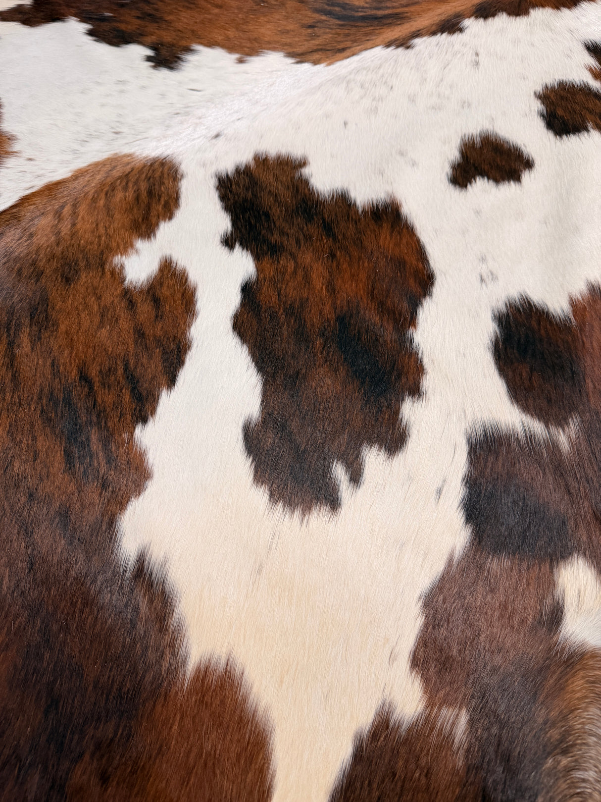 Genuine Cowhide Floor Rug 215-1