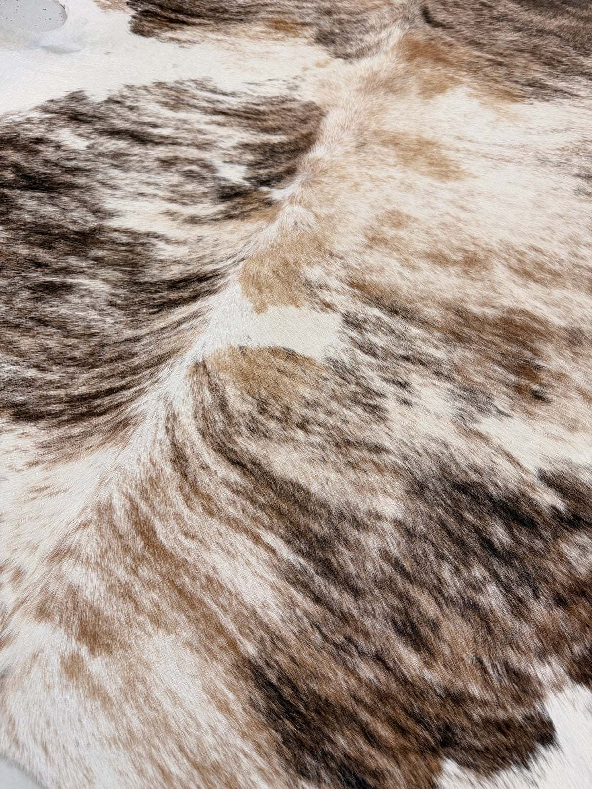 Genuine Cowhide Floor Rug 194