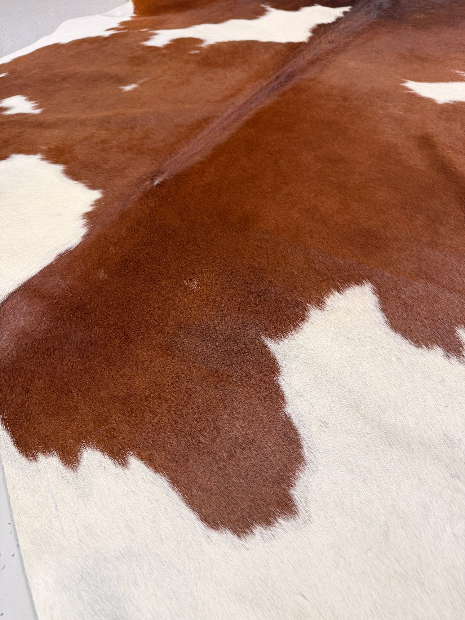 Genuine Cowhide Floor Rug 59-1
