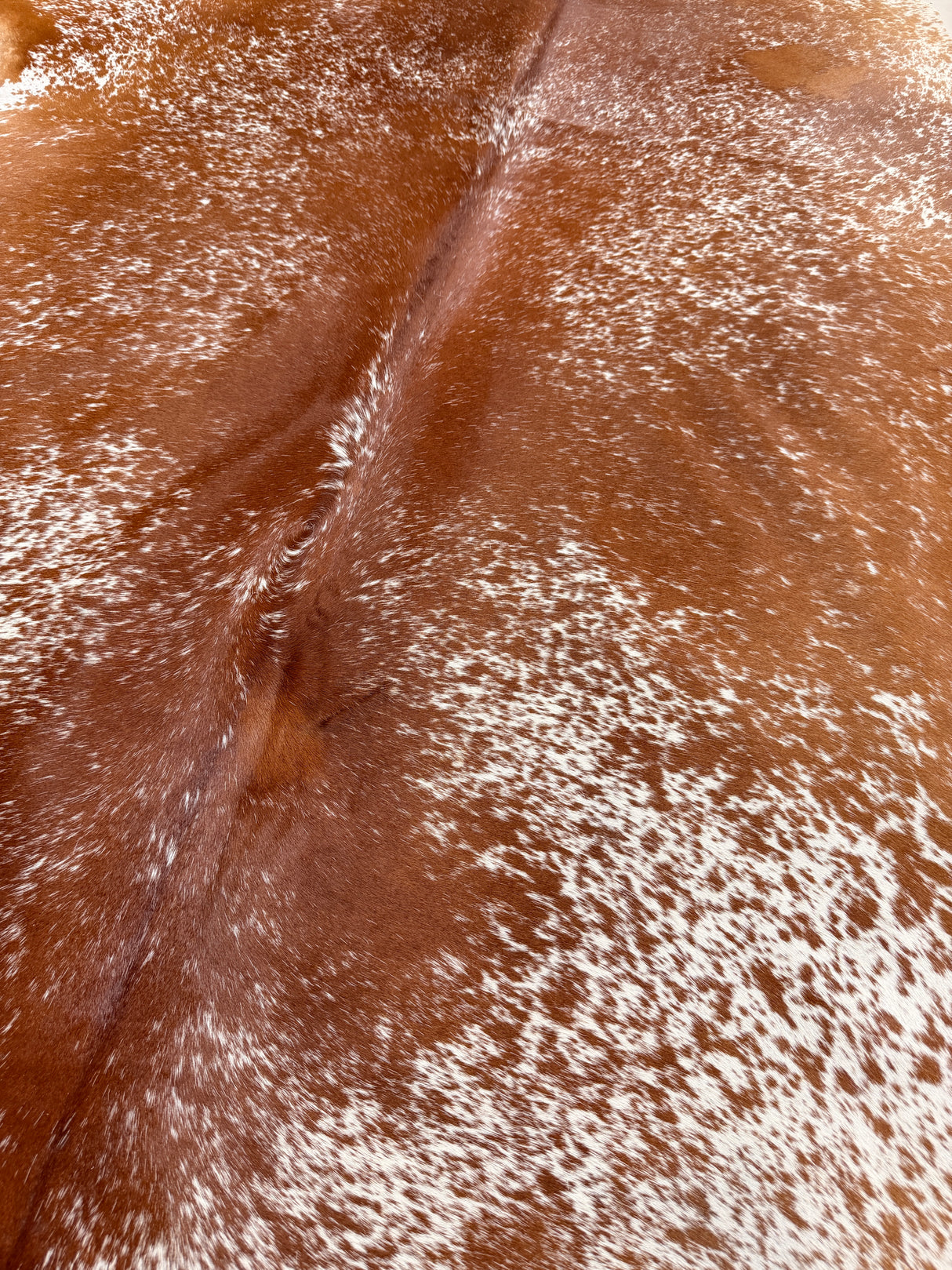 Genuine Cowhide Floor Rug 34