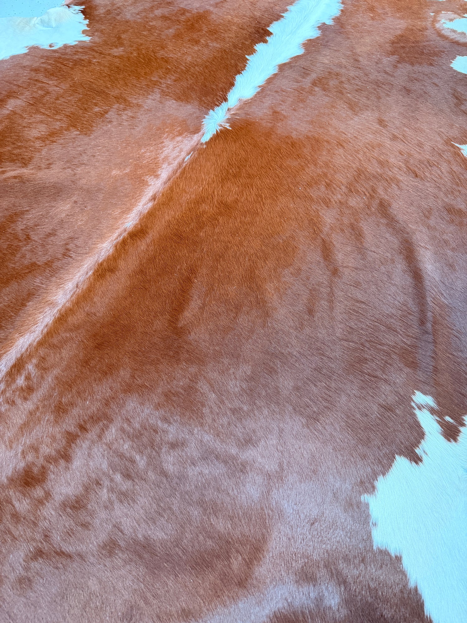 Genuine Cowhide Floor Rug 233