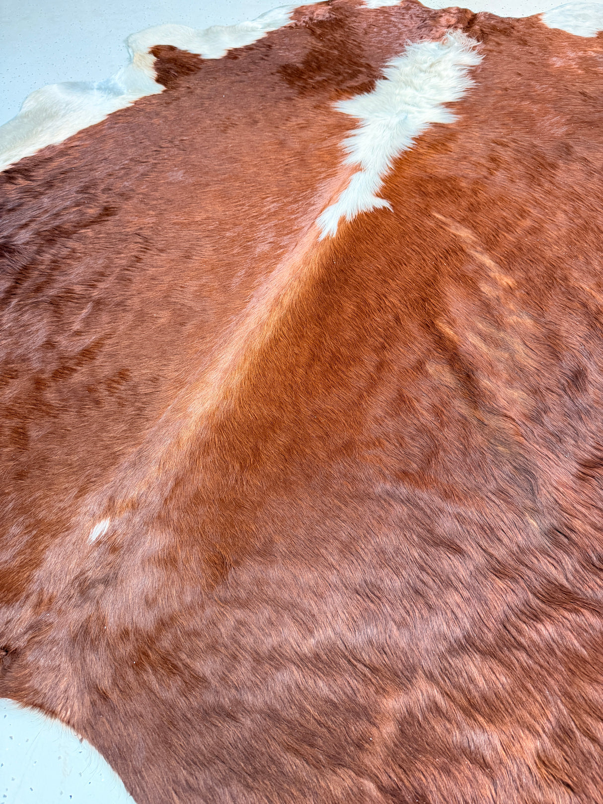 Genuine Cowhide Floor Rug 212-1