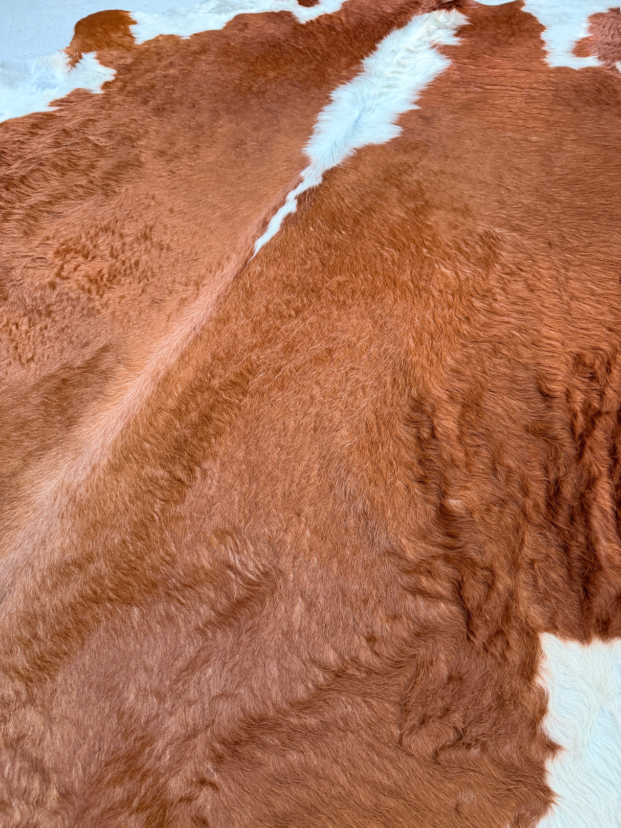 Genuine Cowhide Floor Rug 193