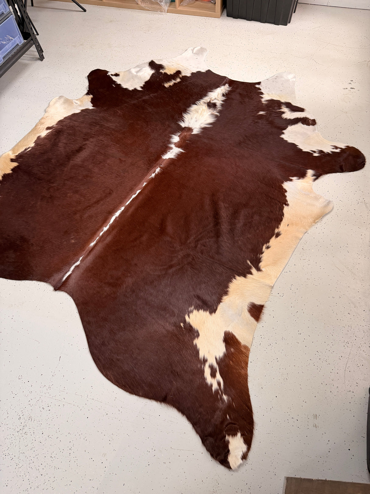 Genuine Cowhide Floor Rug 23