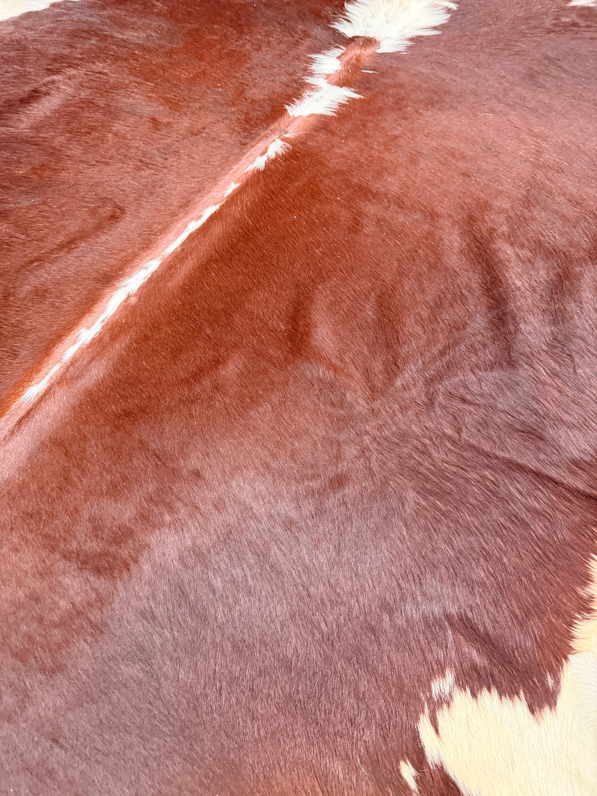 Genuine Cowhide Floor Rug 23