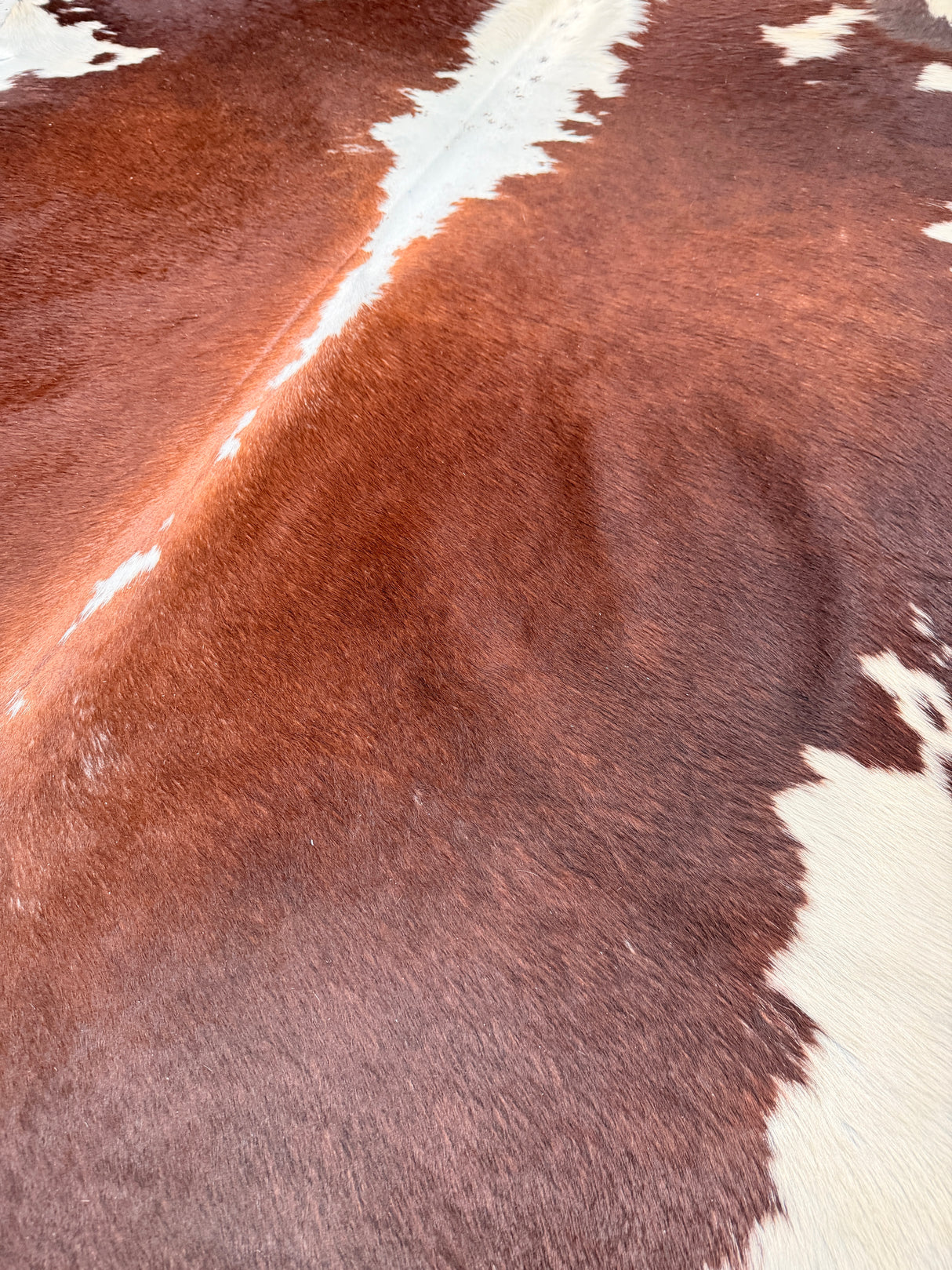 Genuine Cowhide Floor Rug 213