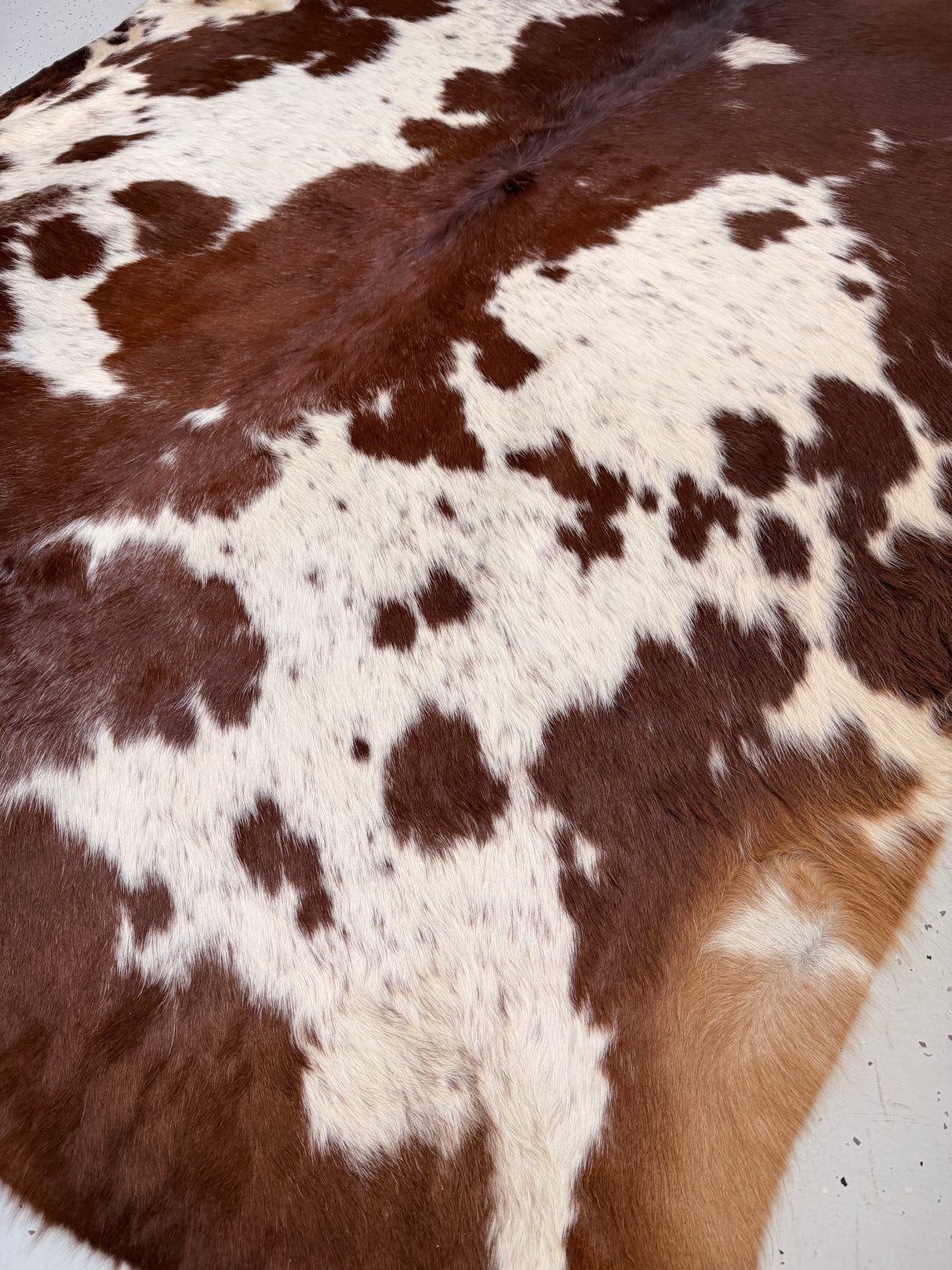 Genuine Cowhide Floor Rug 43