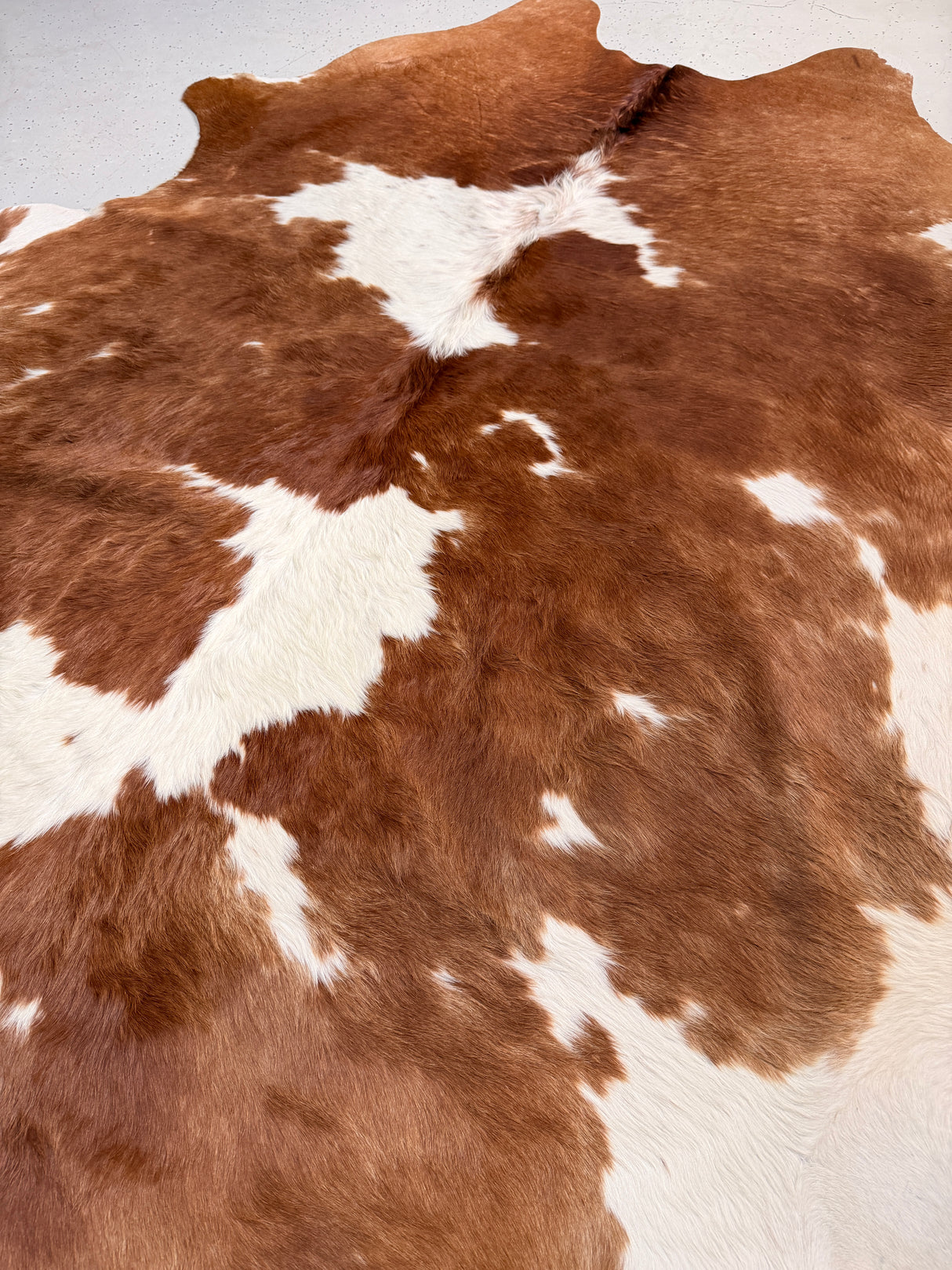 Genuine Cowhide Floor Rug 50