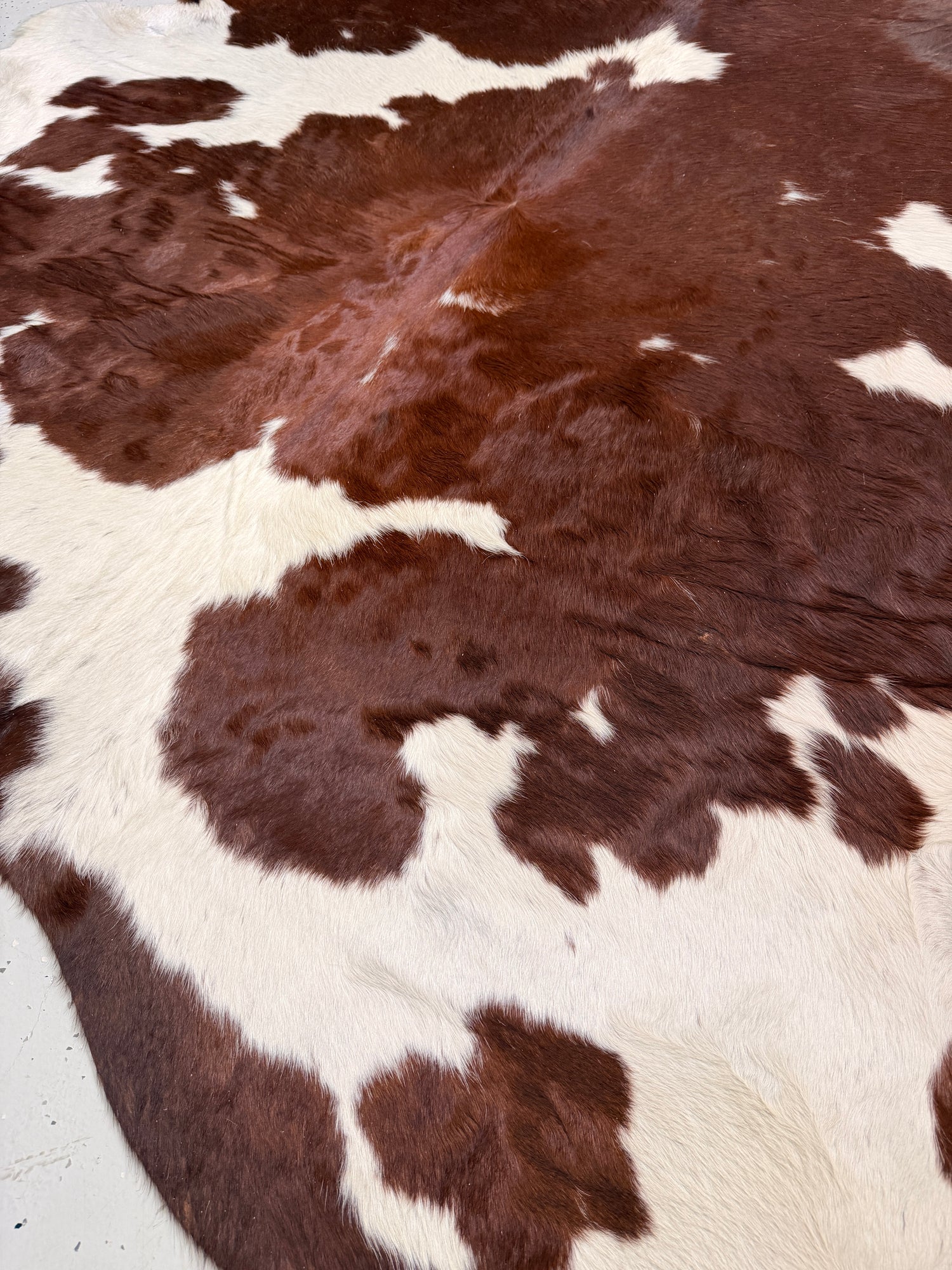 Genuine Cowhide Floor Rug 51