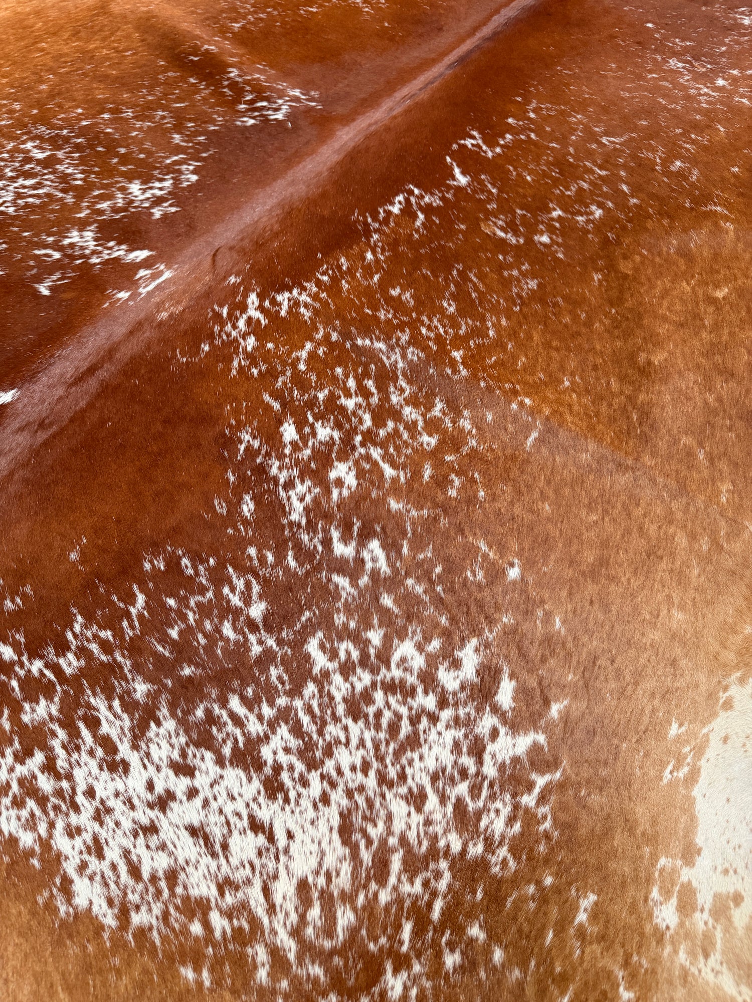 Genuine Cowhide Floor Rug 449