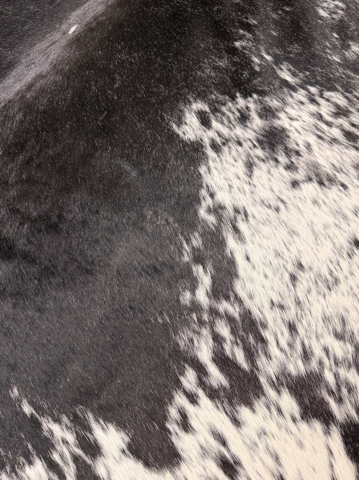 Genuine Cowhide Floor Rug 621