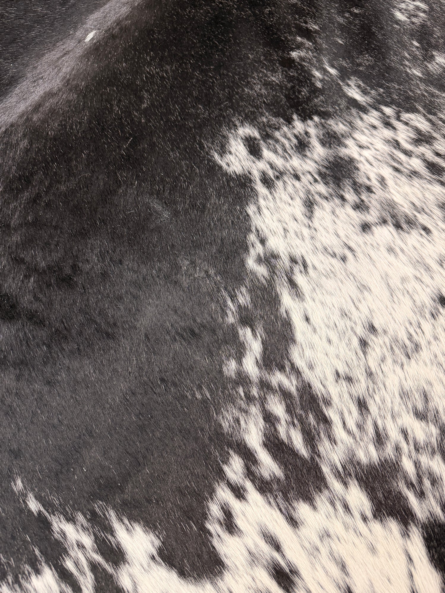 Genuine Cowhide Floor Rug 621