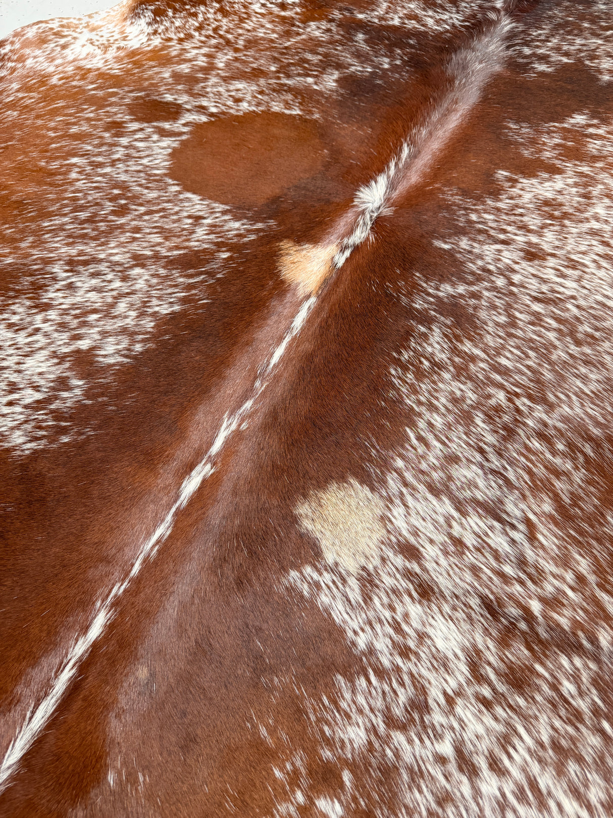 Genuine Cowhide Floor Rug 509