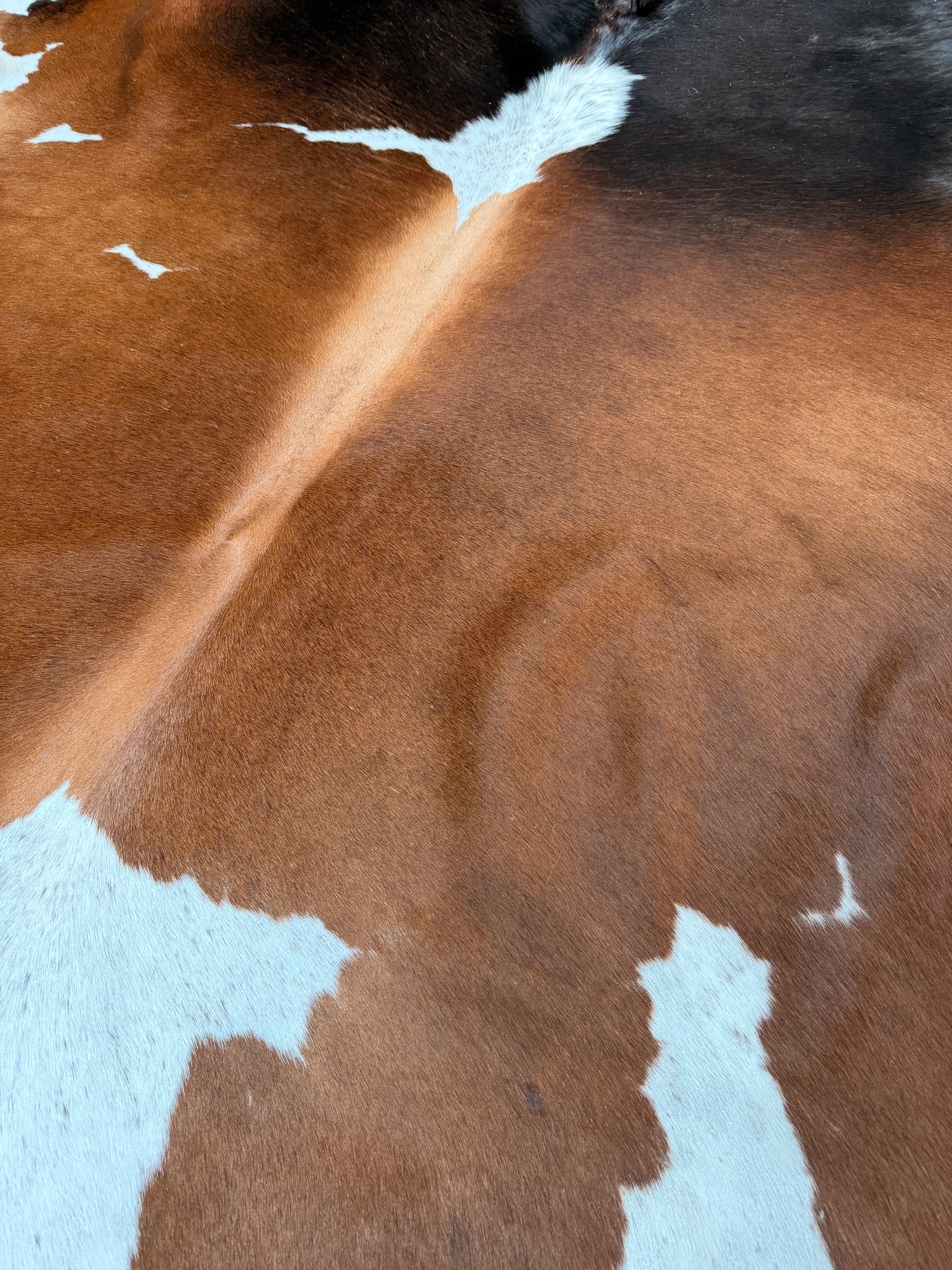 Genuine Cowhide Floor Rug 286