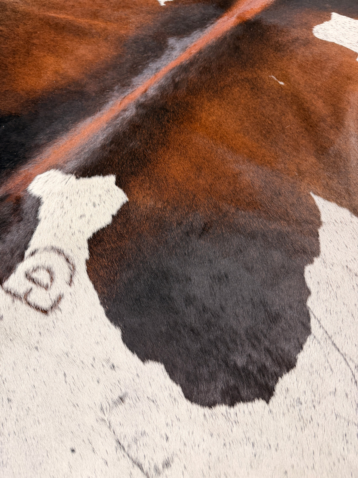 Genuine Cowhide Floor Rug 323-1