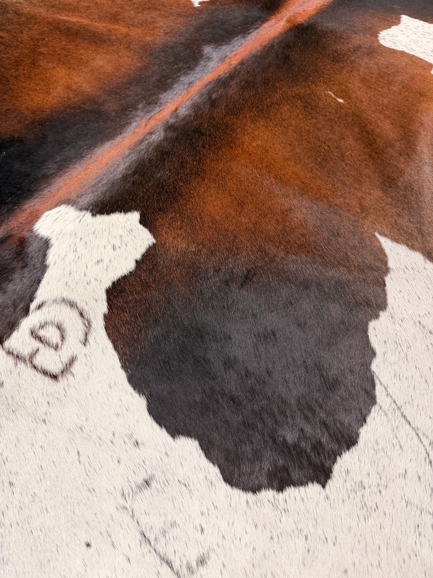 Genuine Cowhide Floor Rug 323-1