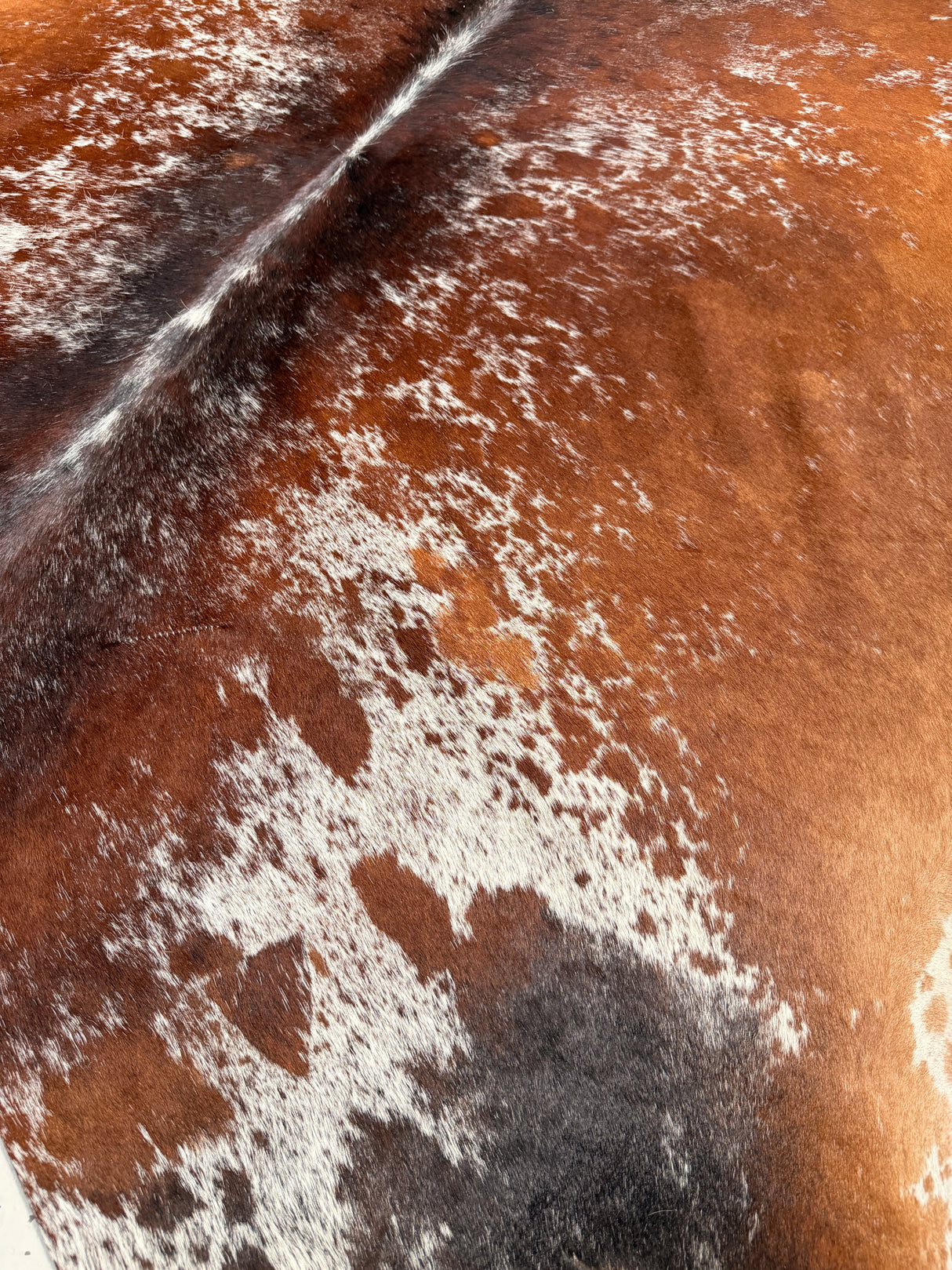 Genuine Cowhide Floor Rug 44