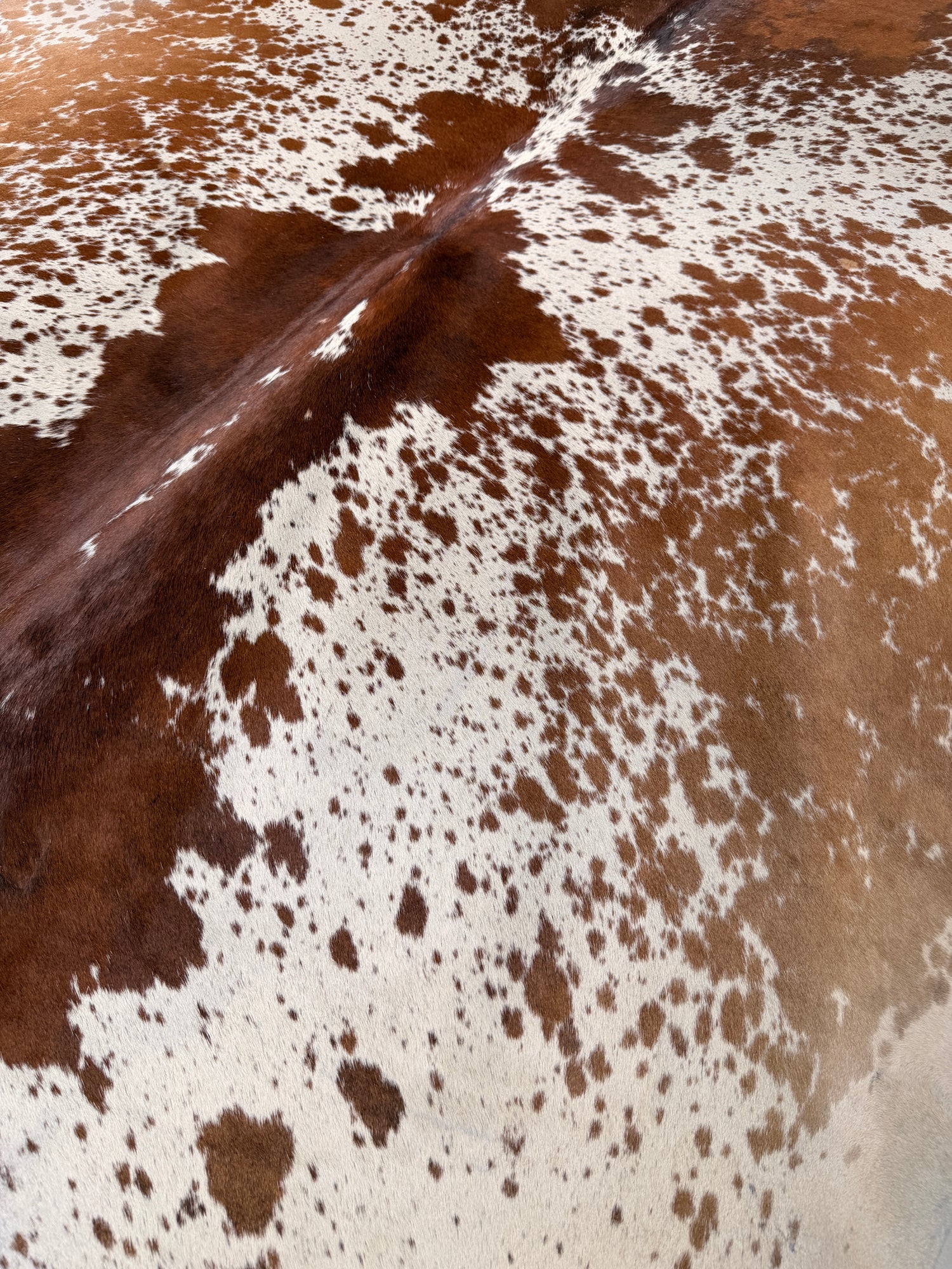 Genuine Cowhide Floor Rug 50-1