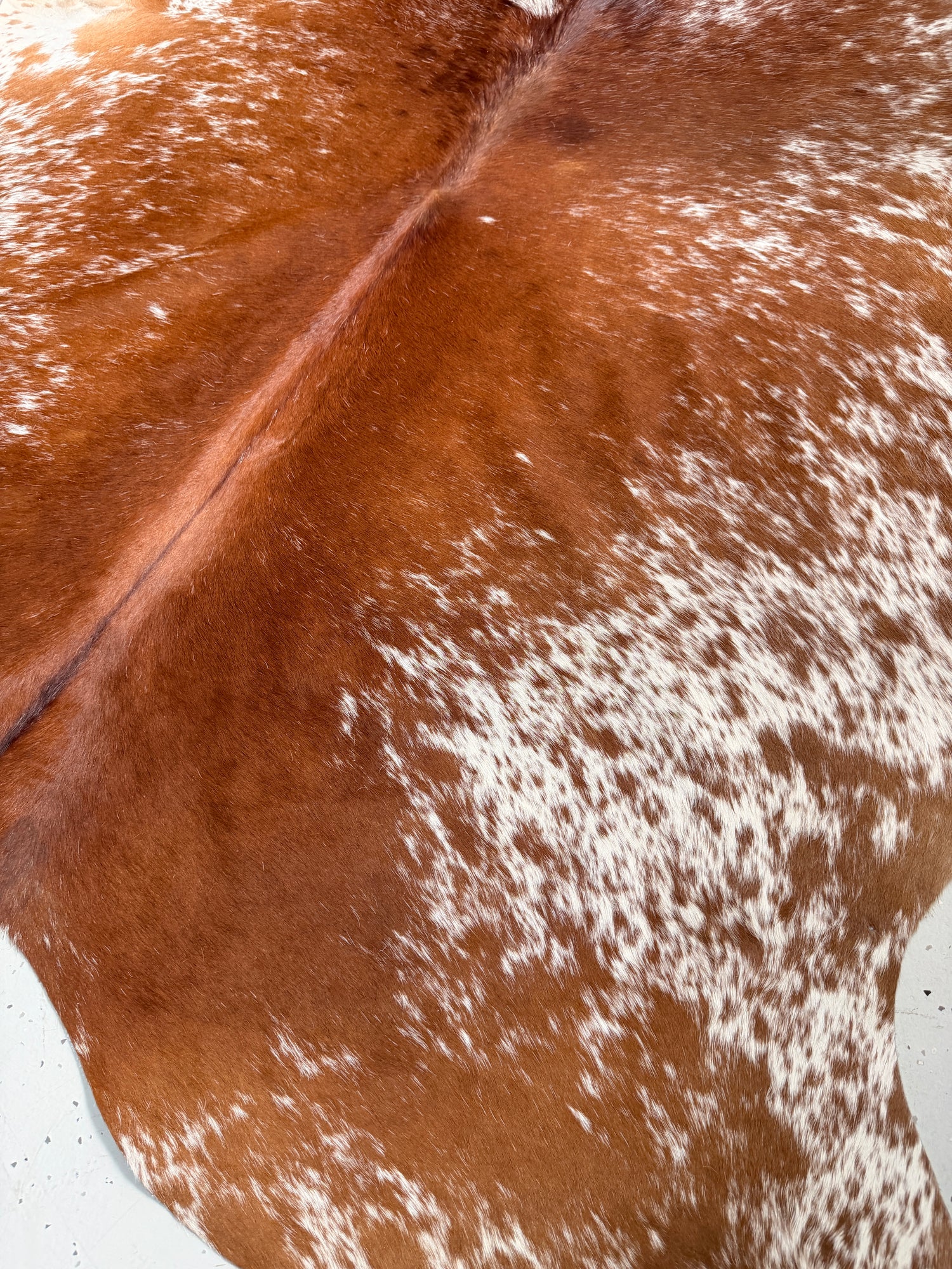 Genuine Cowhide Floor Rug 51-1