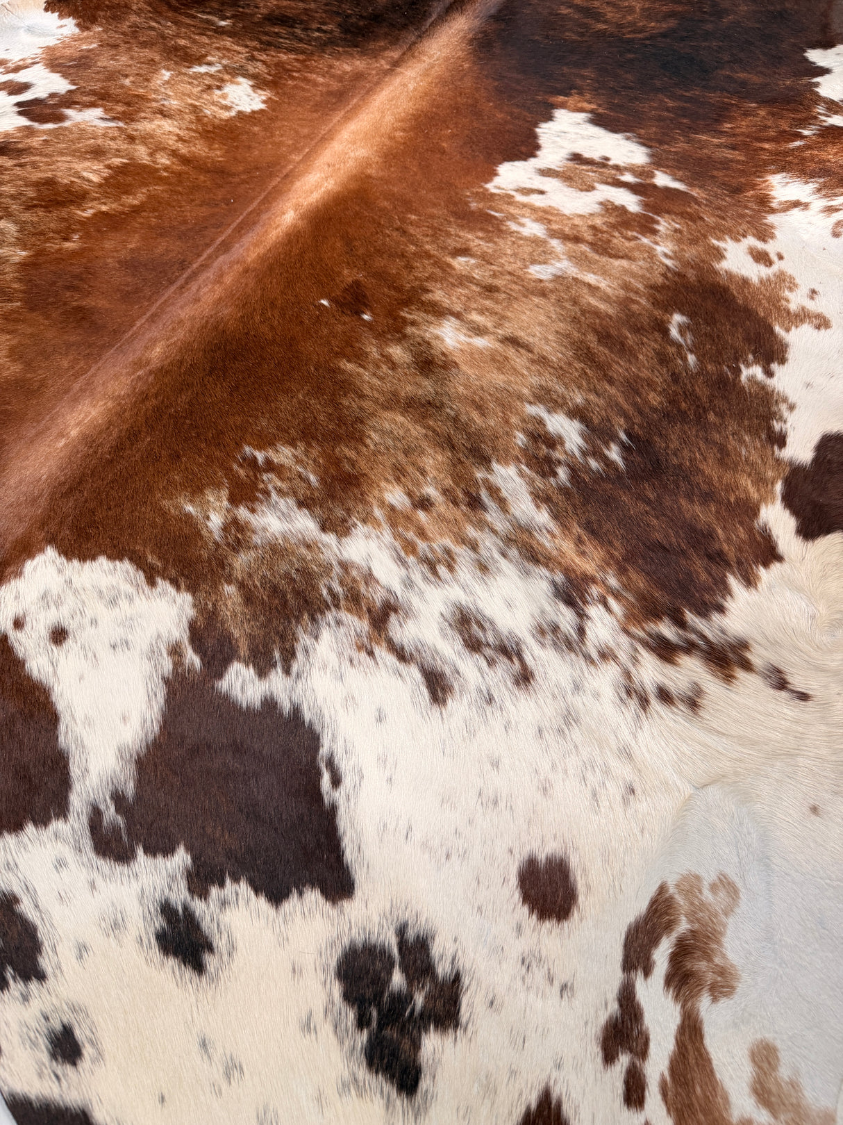 Genuine Cowhide Floor Rug 29
