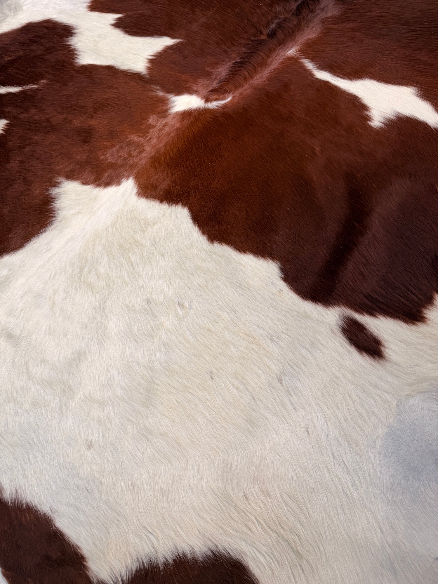 Genuine Cowhide Floor Rug 37