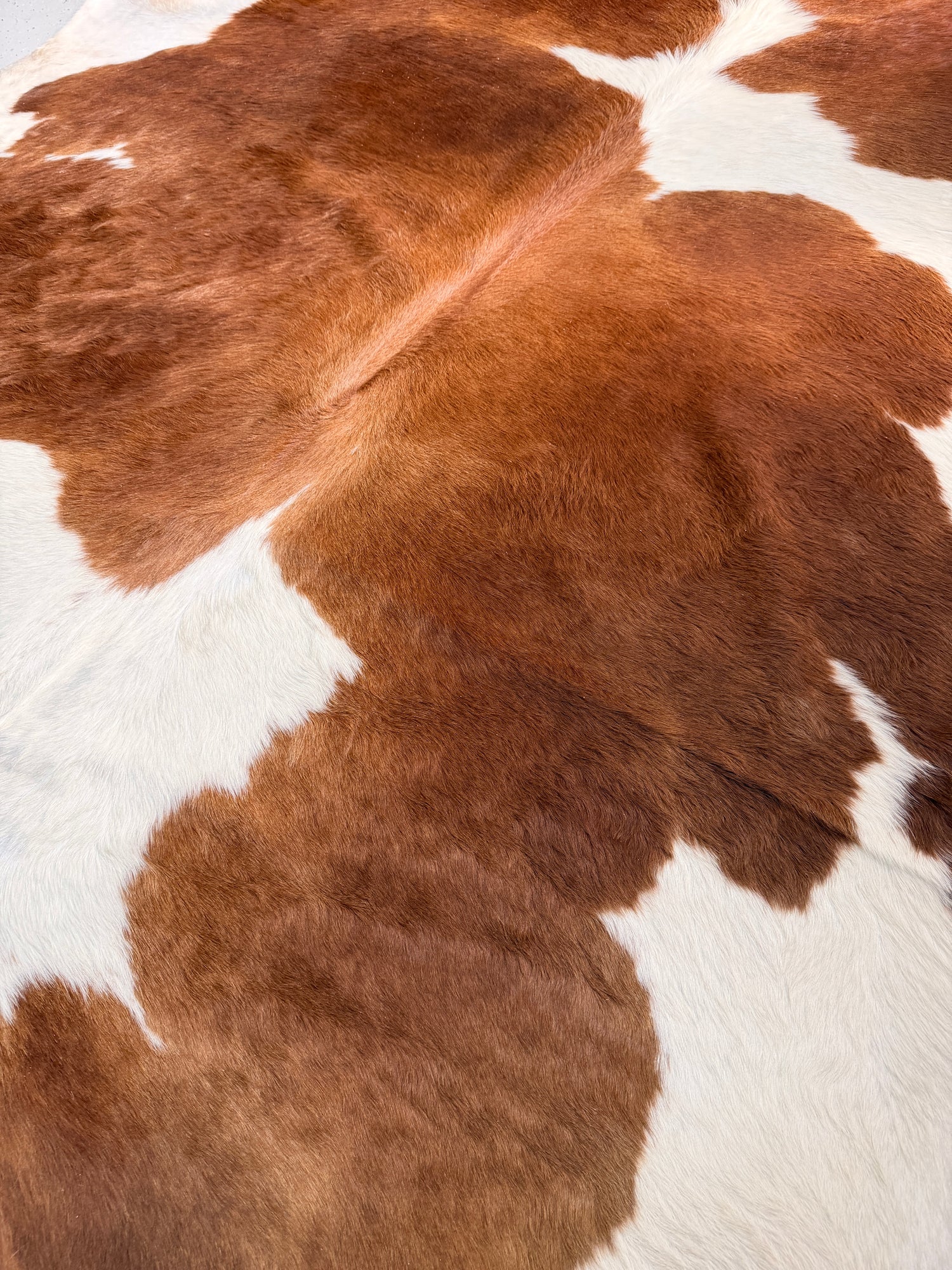 Genuine Cowhide Floor Rug 40-1
