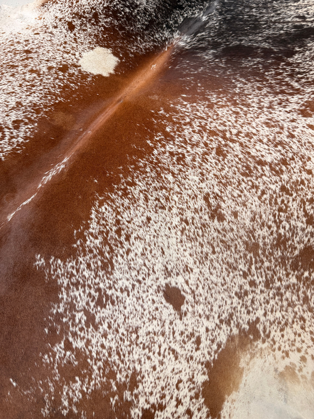Genuine Cowhide Floor Rug 534