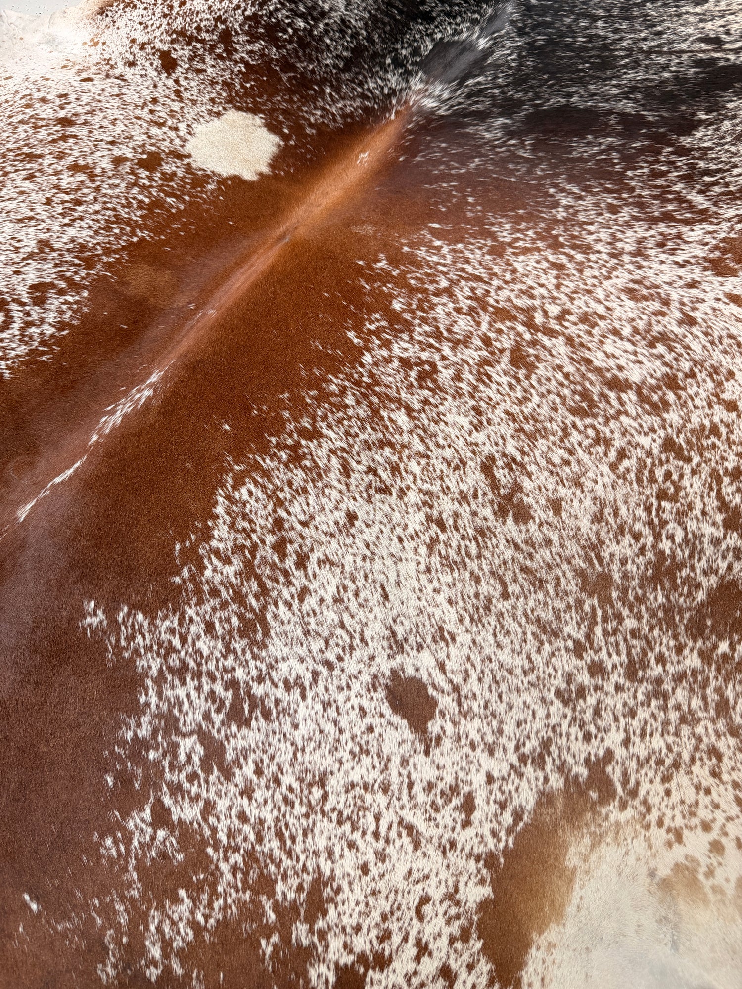 Genuine Cowhide Floor Rug 534