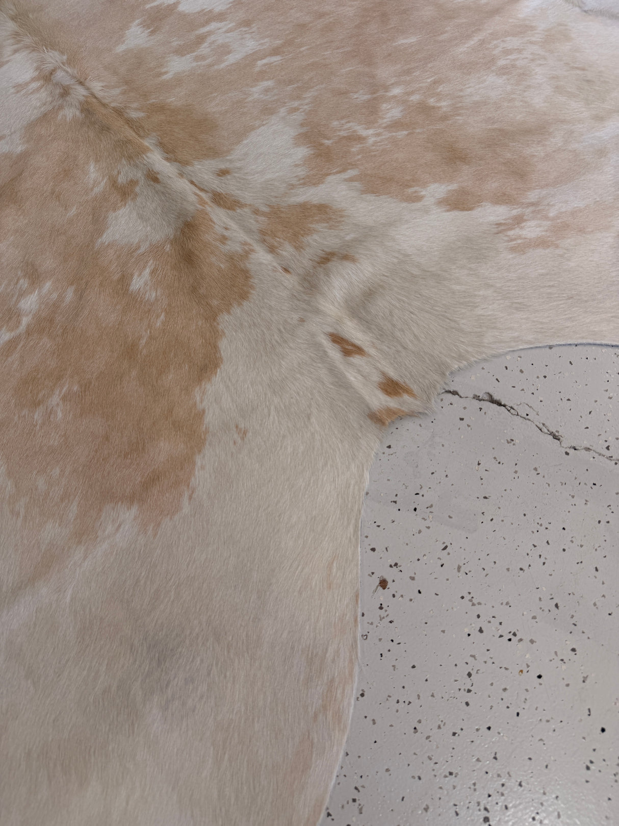 Genuine Cowhide Floor Rug 860