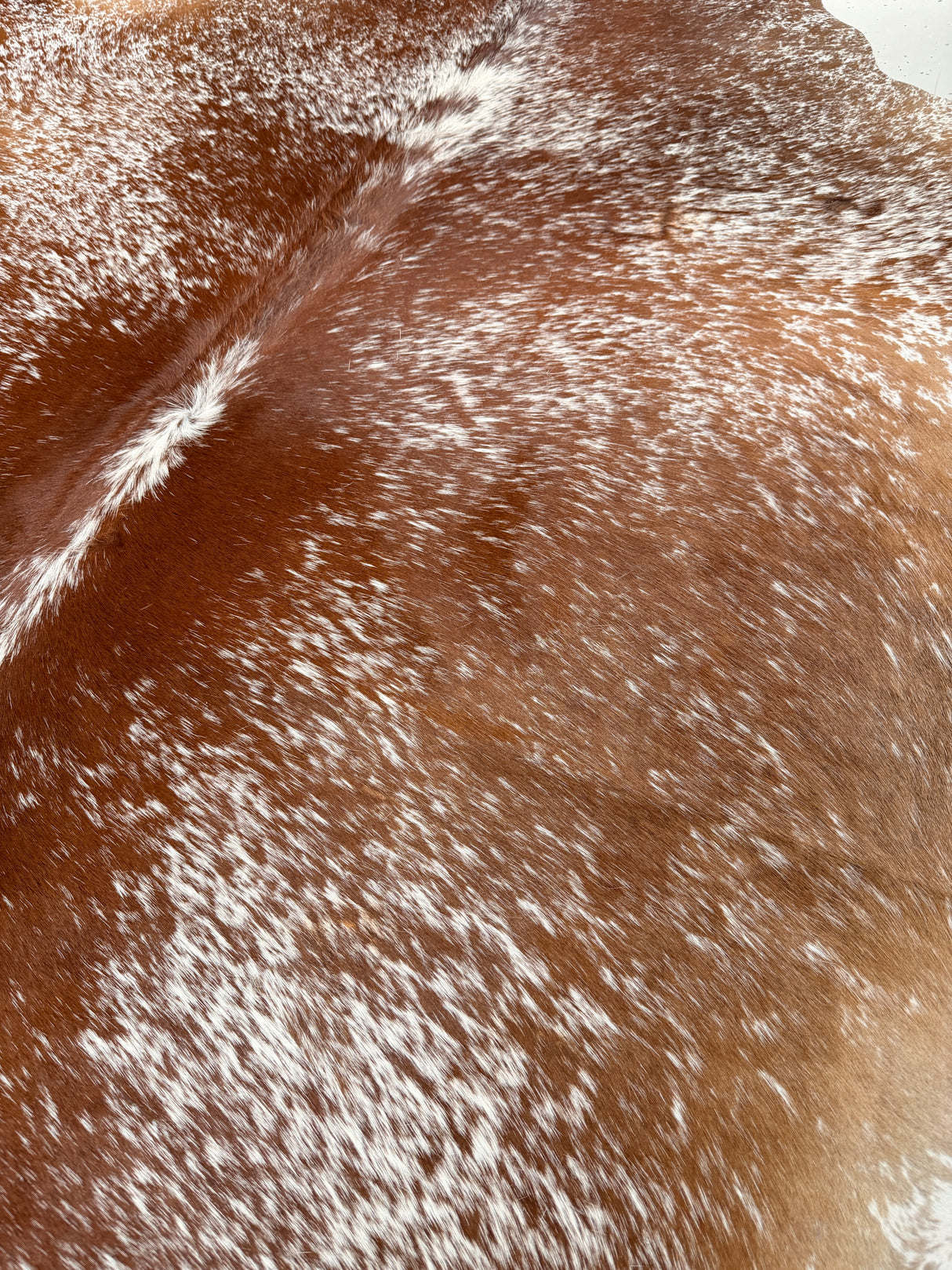 Genuine Cowhide Floor Rug 510
