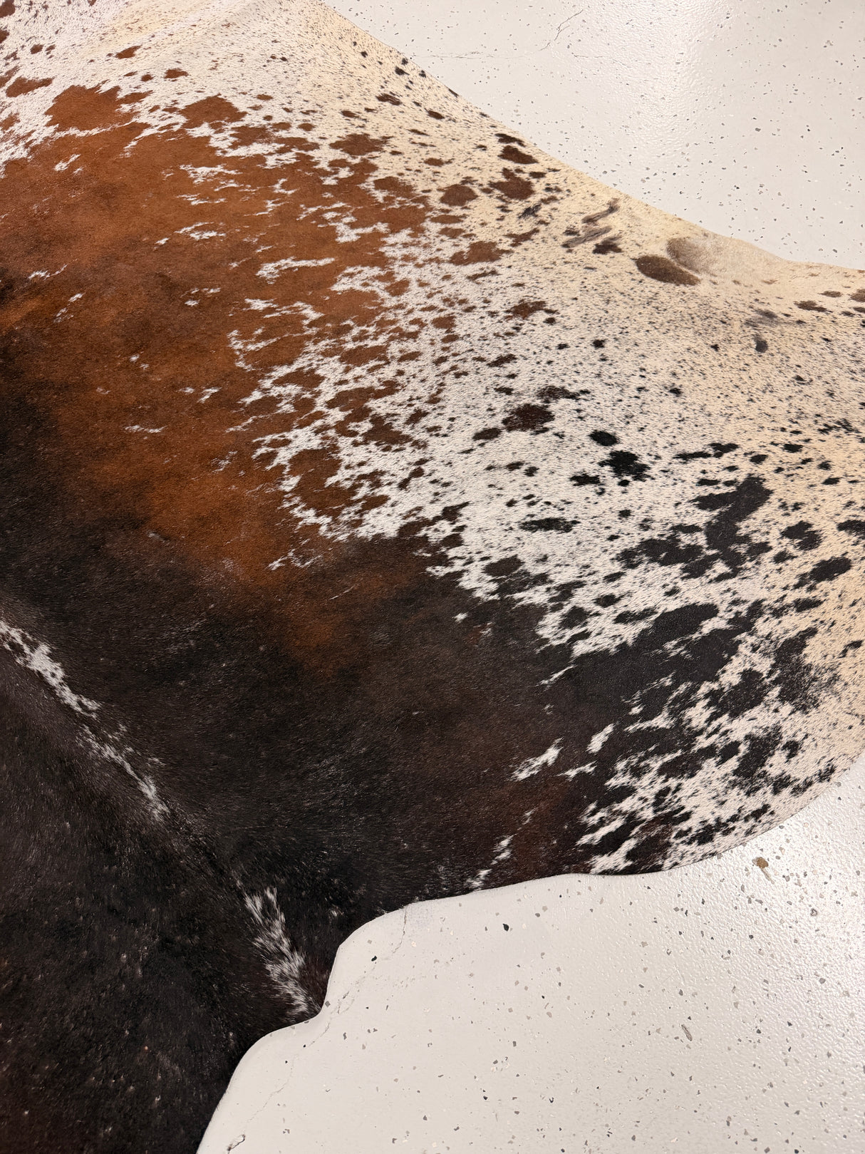 Genuine Cowhide Floor Rug 1253