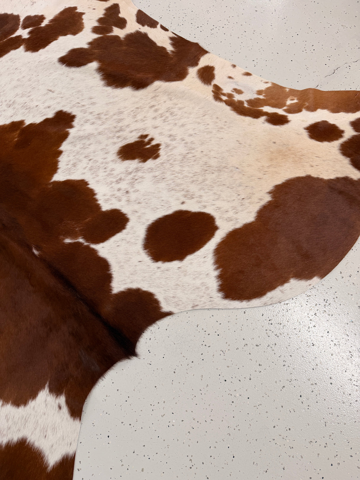 Genuine Cowhide Floor Rug 1266