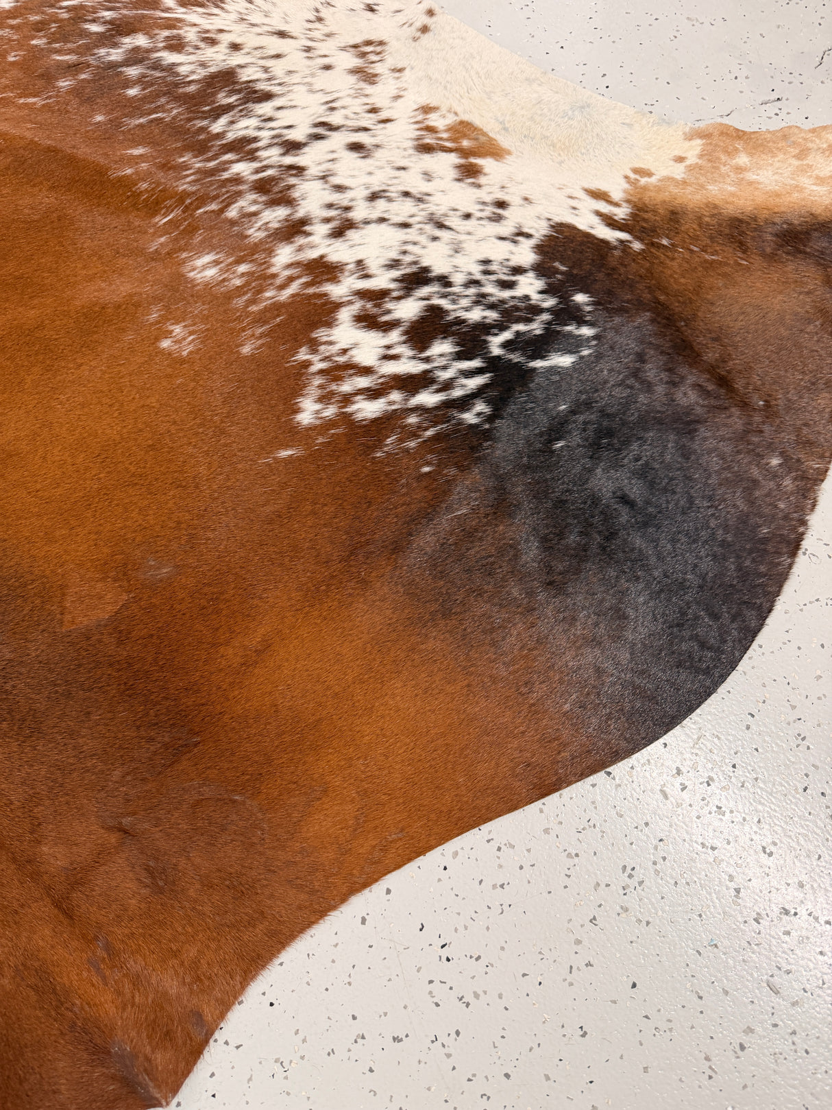 Genuine Cowhide Floor Rug 1268