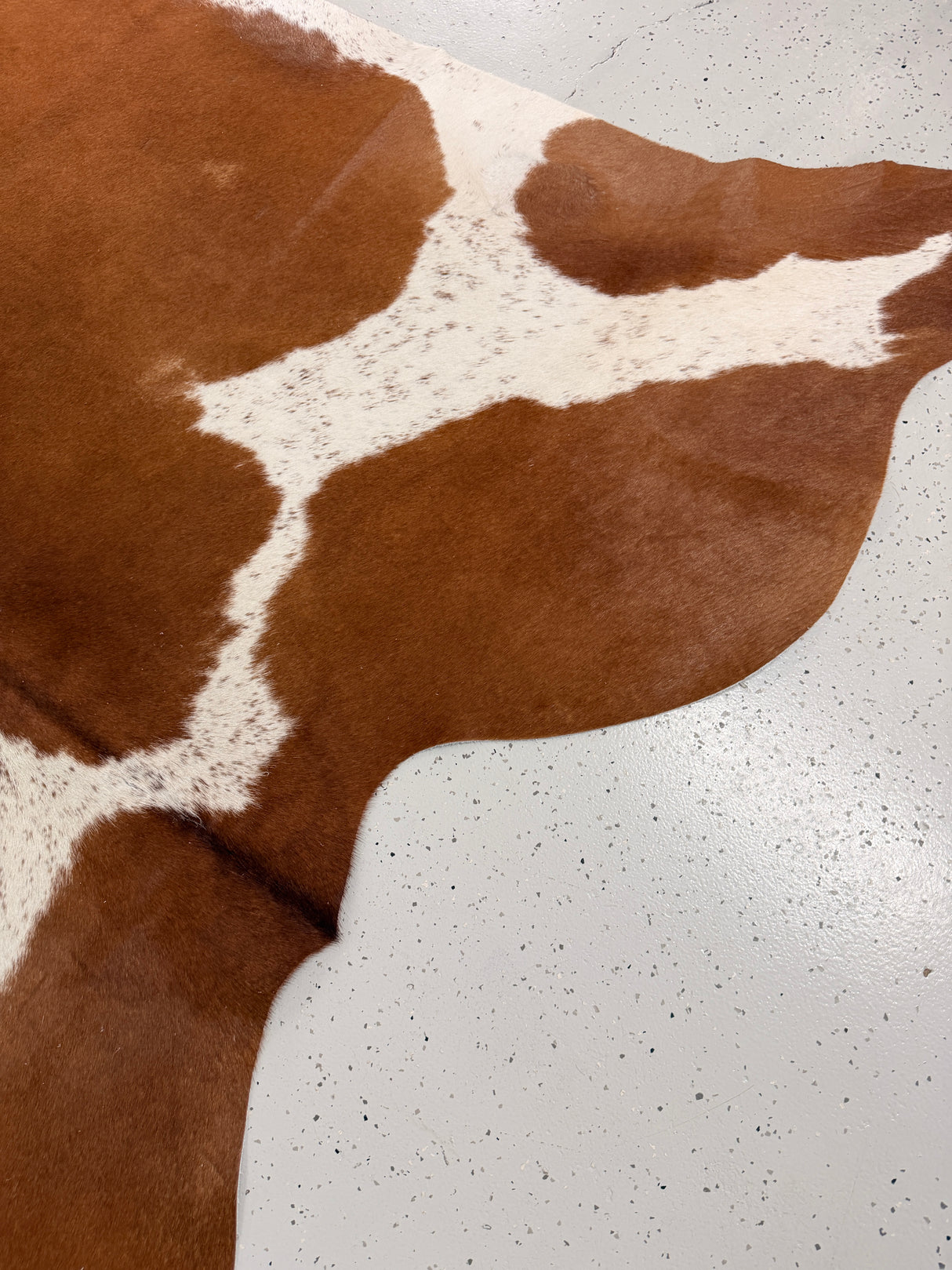 Genuine Cowhide Floor Rug 1273