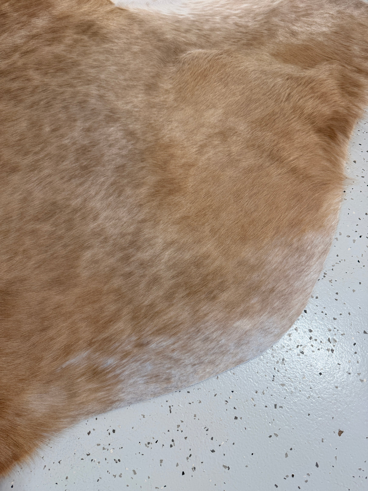 Genuine Cowhide Floor Rug 1278