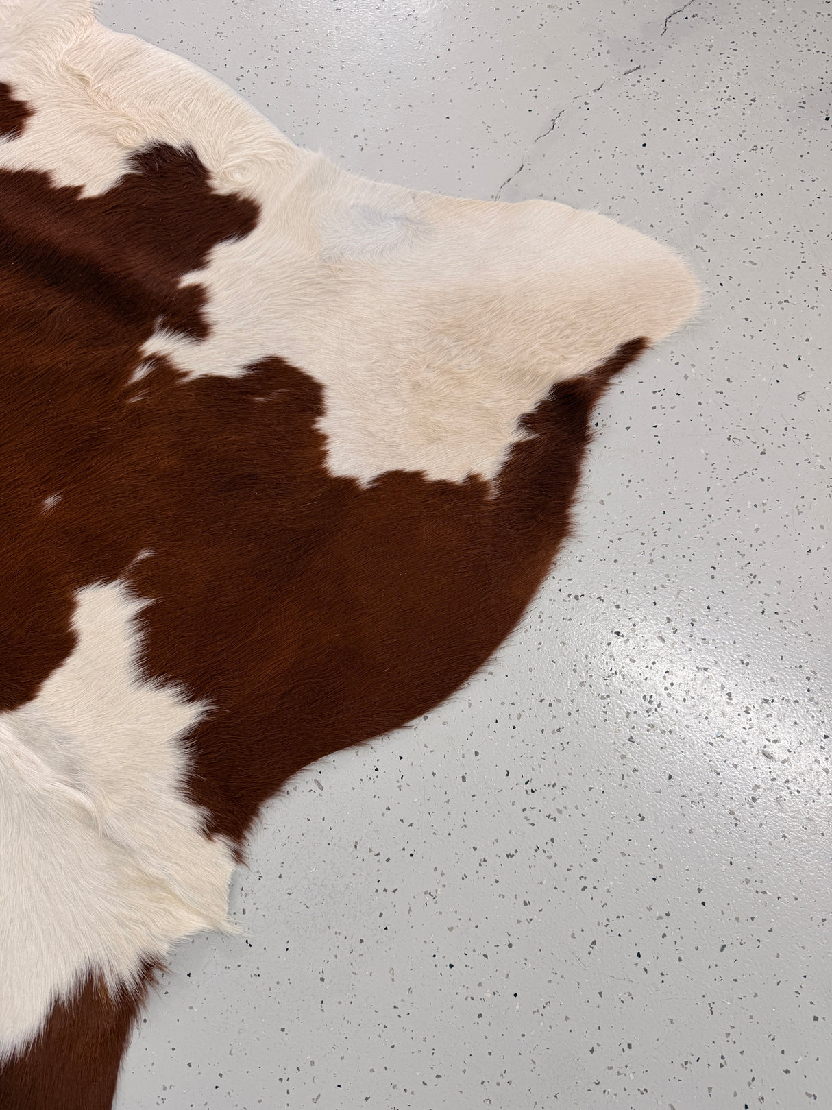 Genuine Cowhide Floor Rug 1284