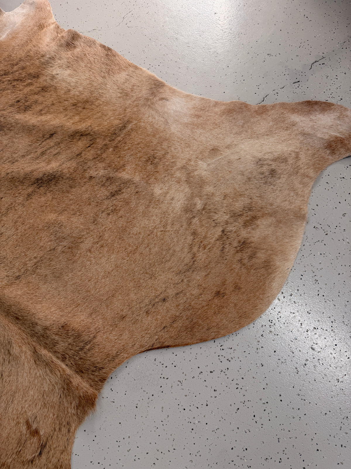 Genuine Cowhide Floor Rug 1289