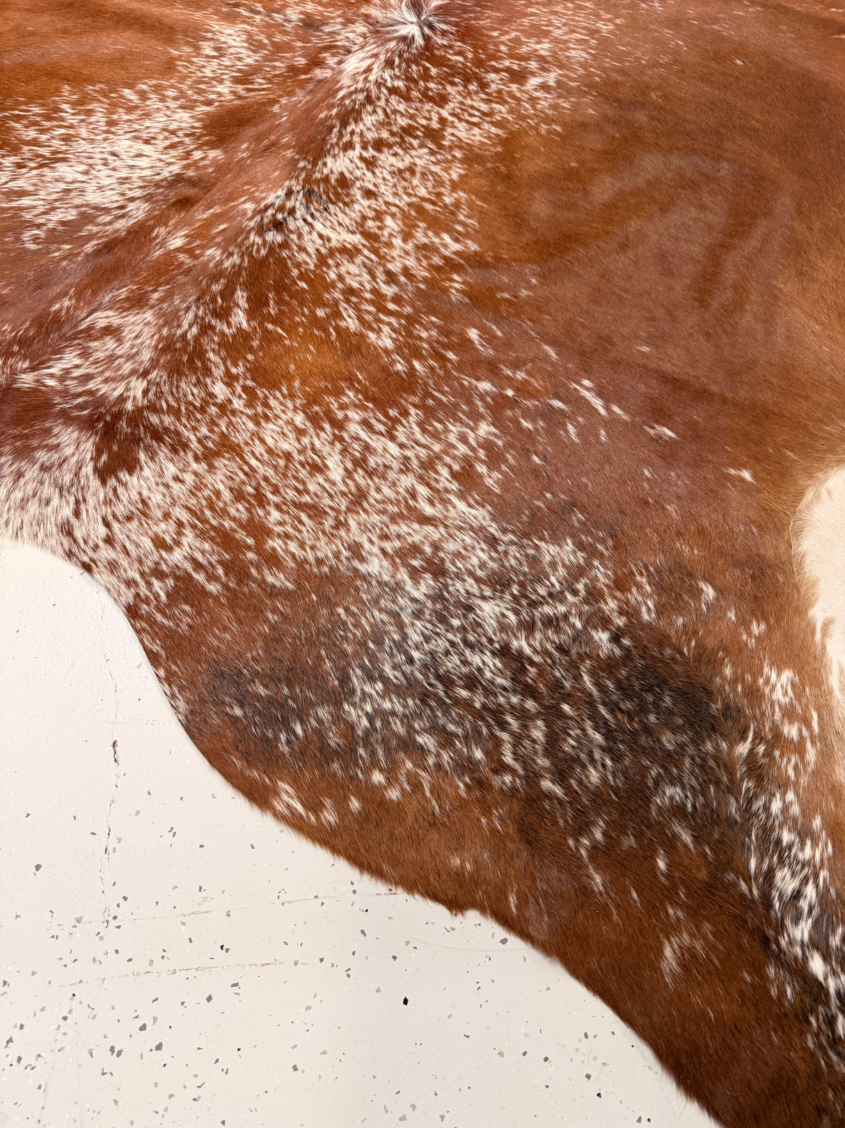 Genuine Cowhide Floor Rug 013