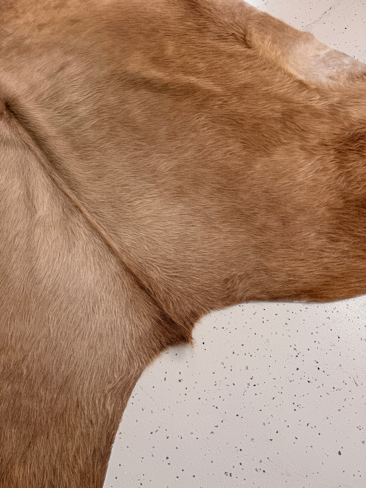 Genuine Cowhide Floor Rug 951