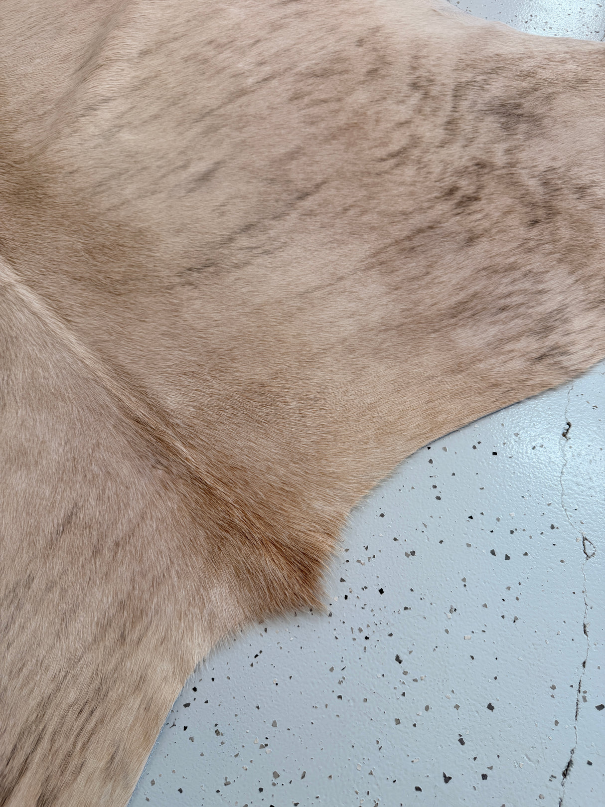 Genuine Cowhide Floor Rug 955