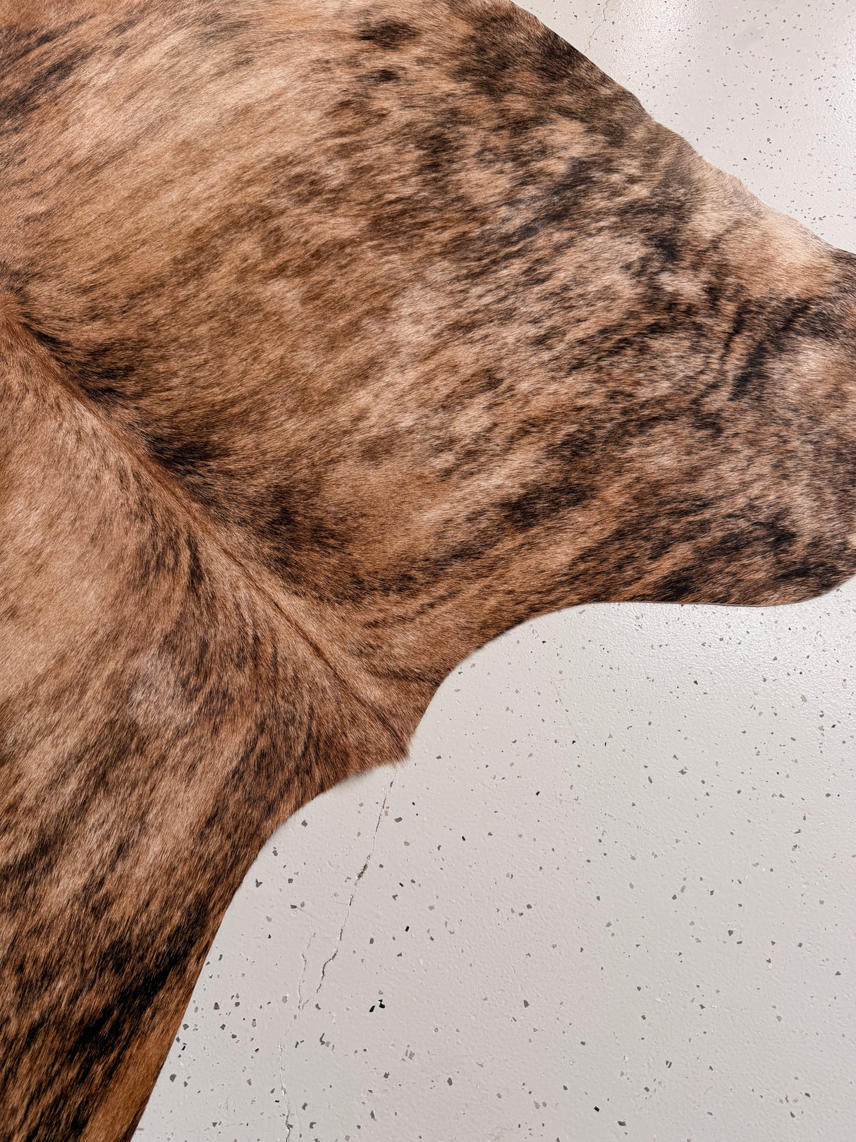 Genuine Cowhide Floor Rug 962