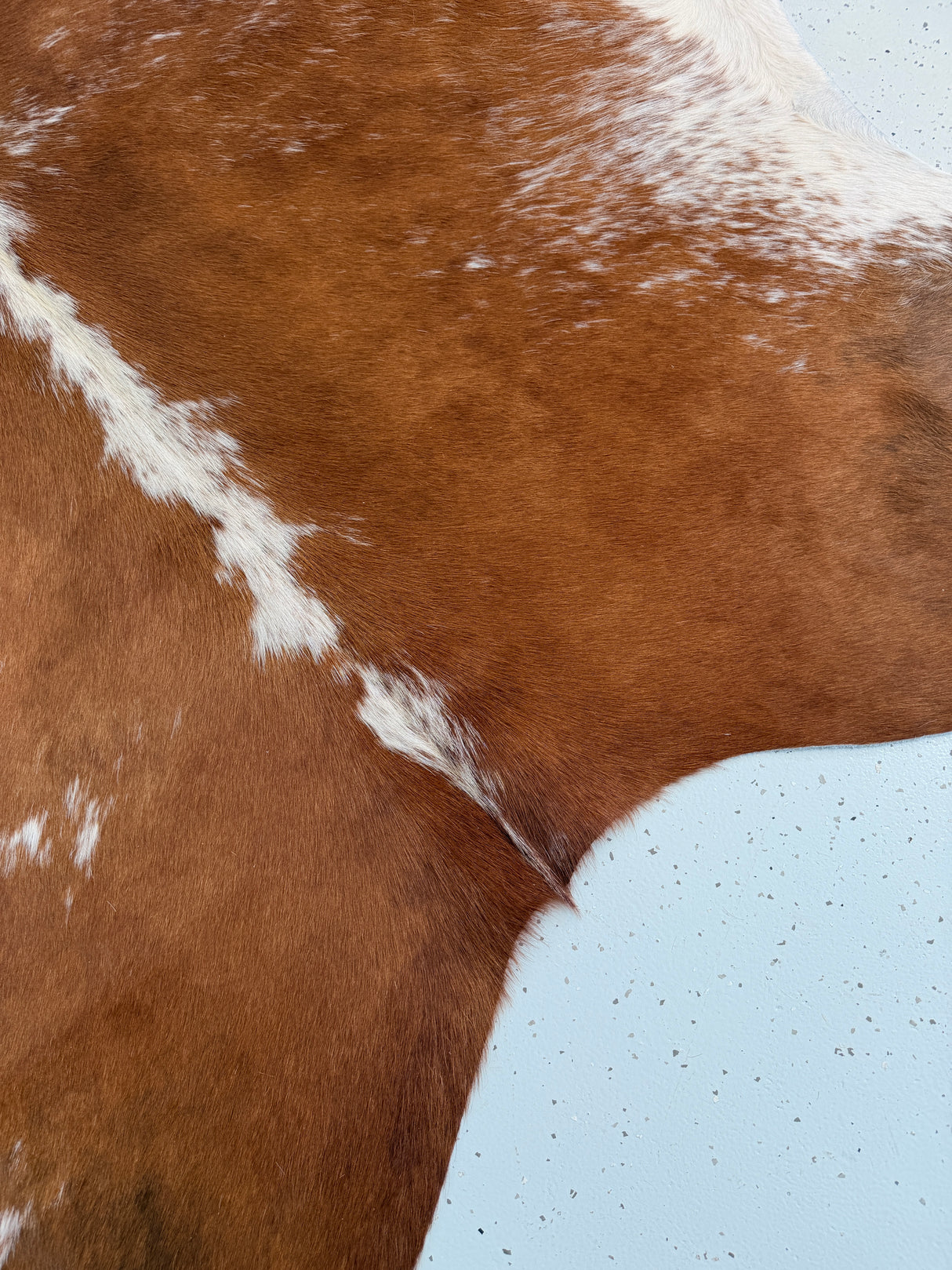 Genuine Cowhide Floor Rug 965