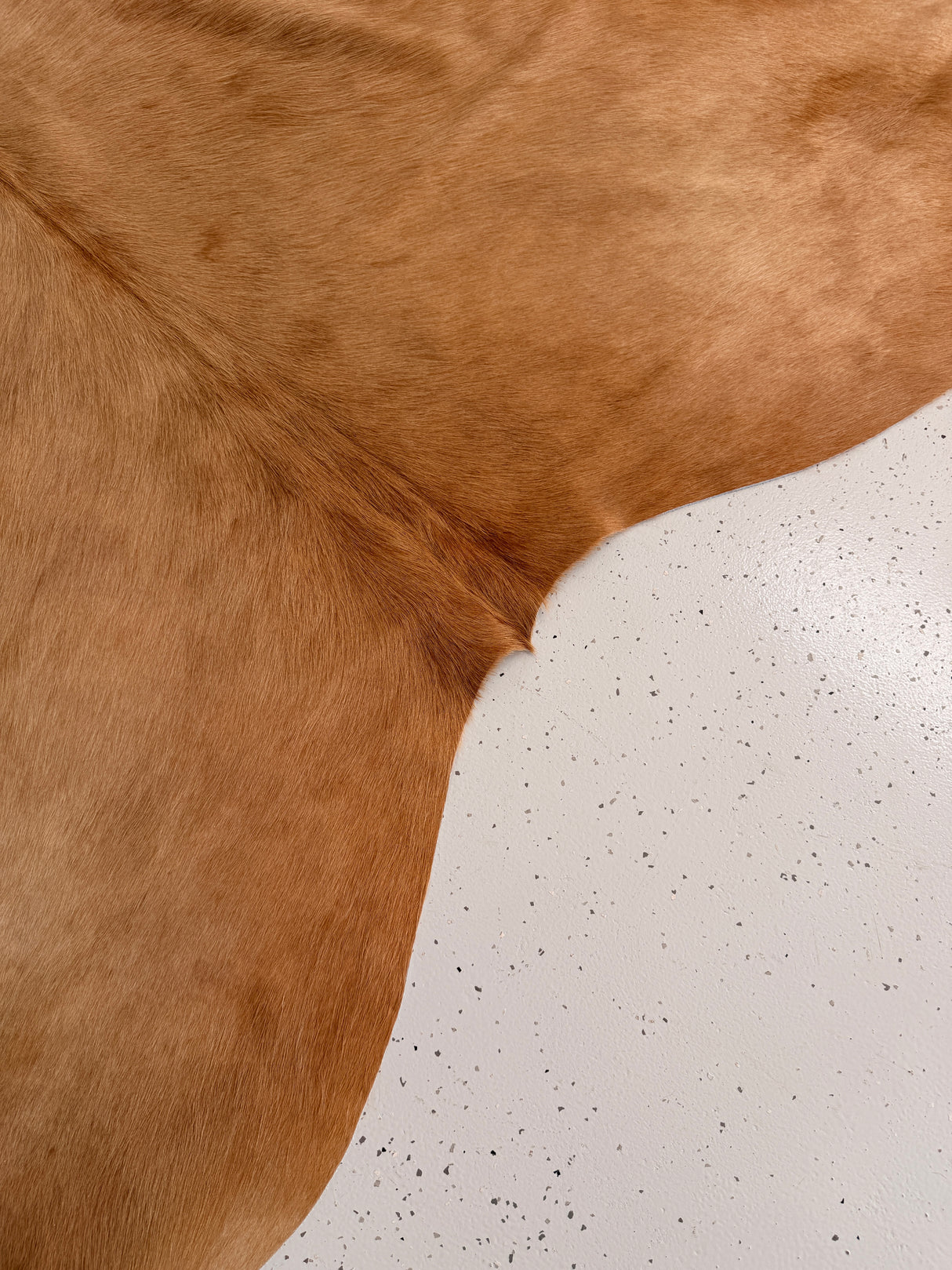 Genuine Cowhide Floor Rug 972