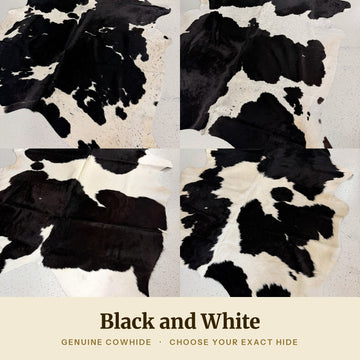 Black and White Cowhide Rug